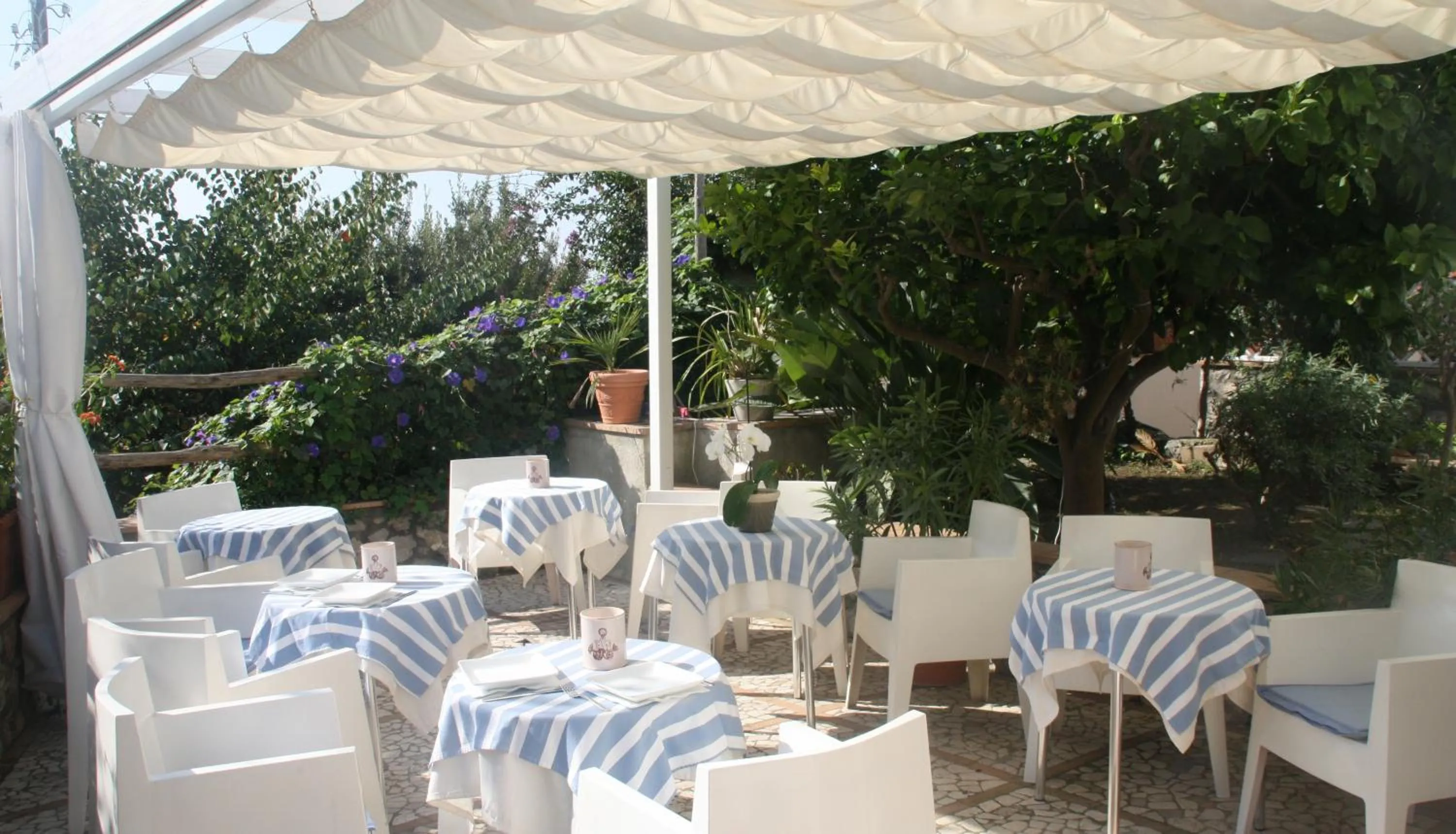 Restaurant/places to eat in Hotel Senaria