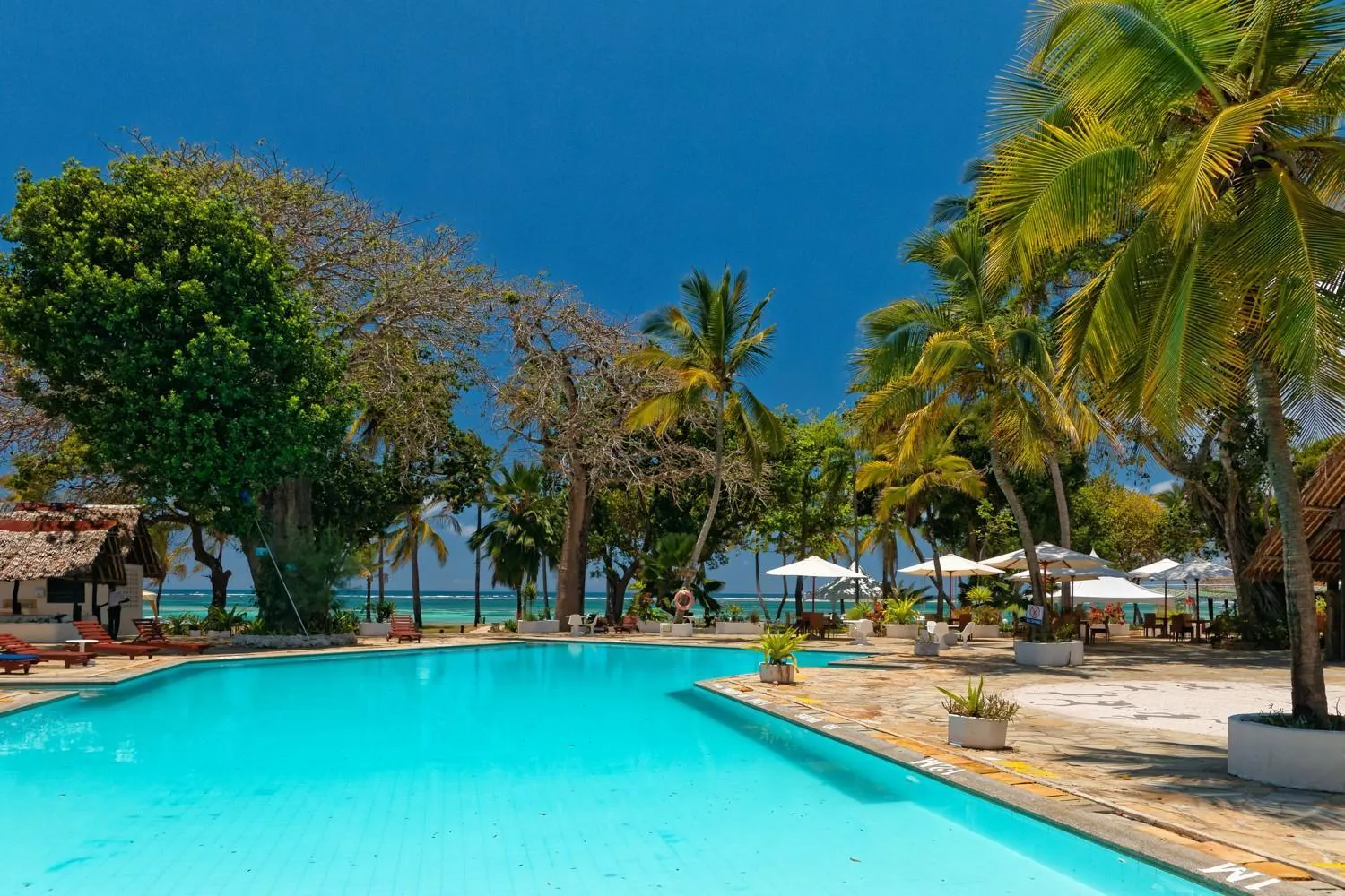 Swimming pool in Safari Beach Hotel