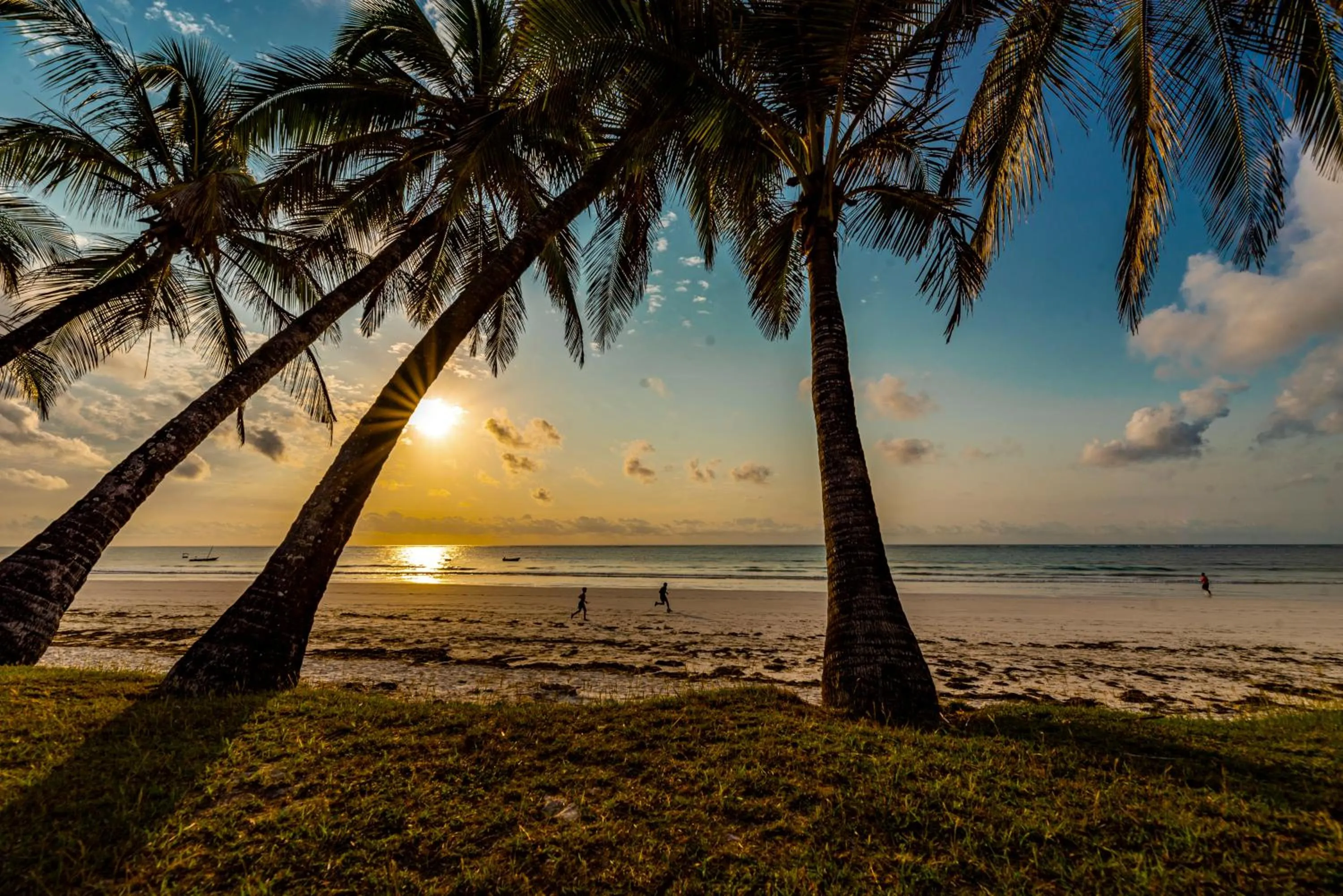 Natural landscape in Safari Beach Hotel