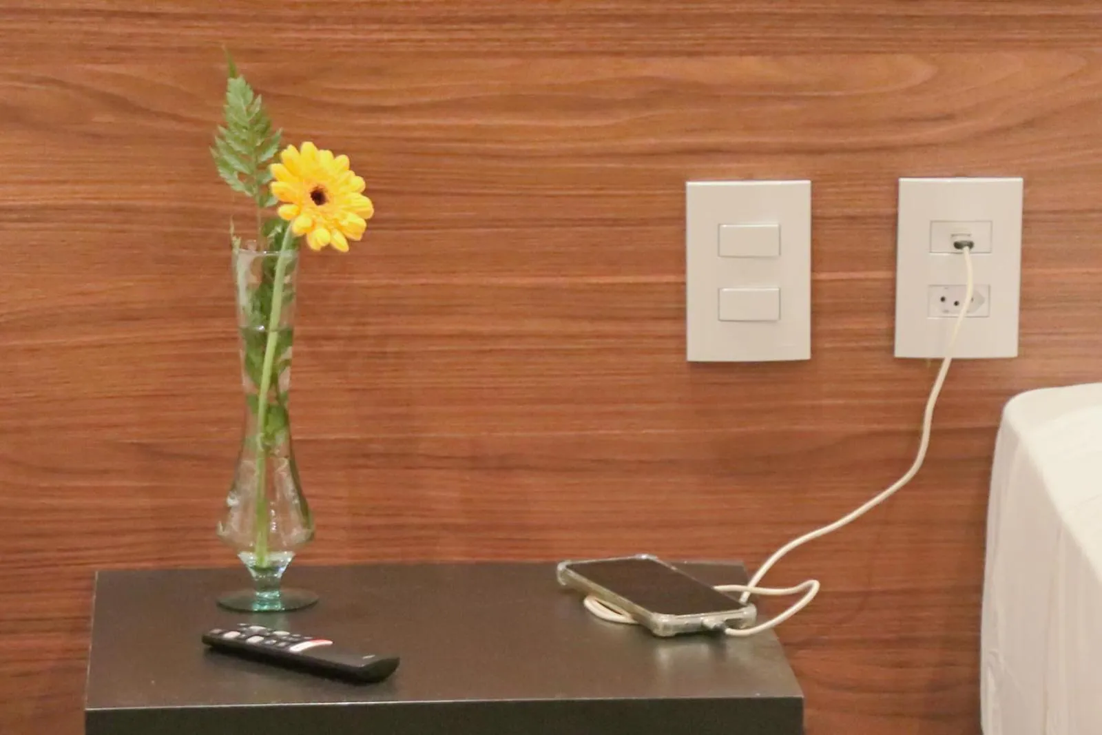 Decorative detail in Porto das Asas Park Hotel