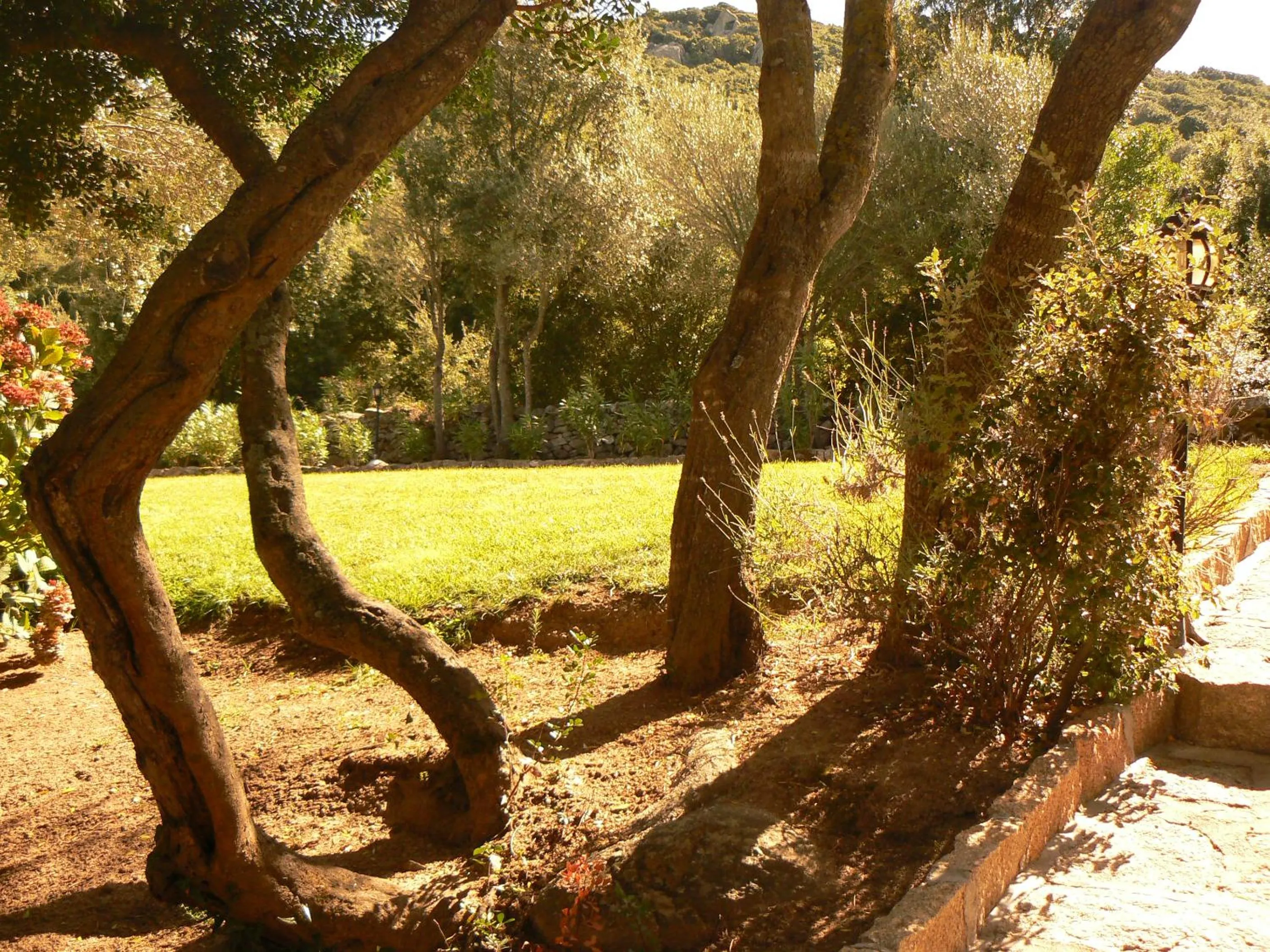 Garden in Hotel Valkarana Country Relais