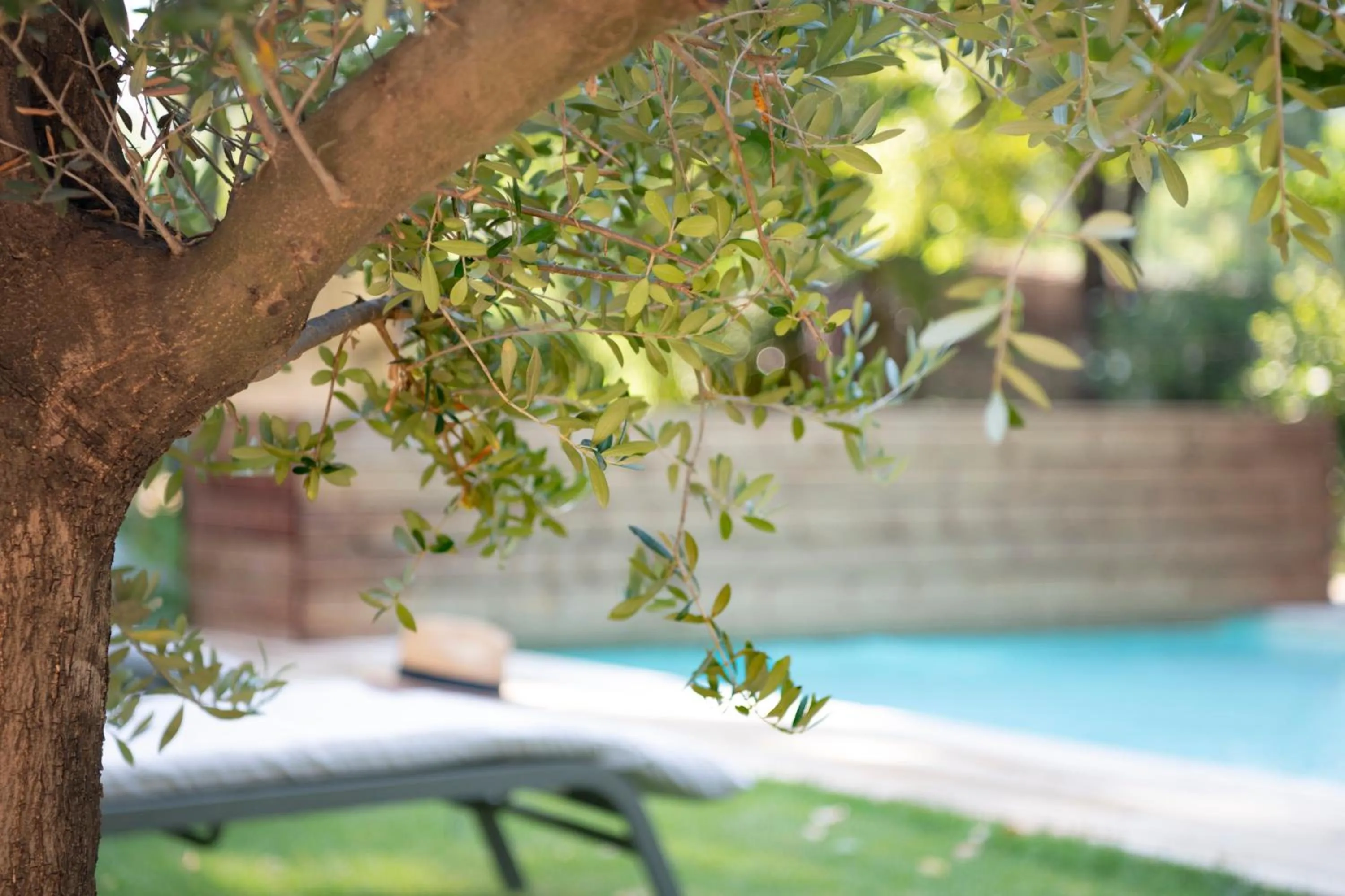 Garden in Maison Sumiane