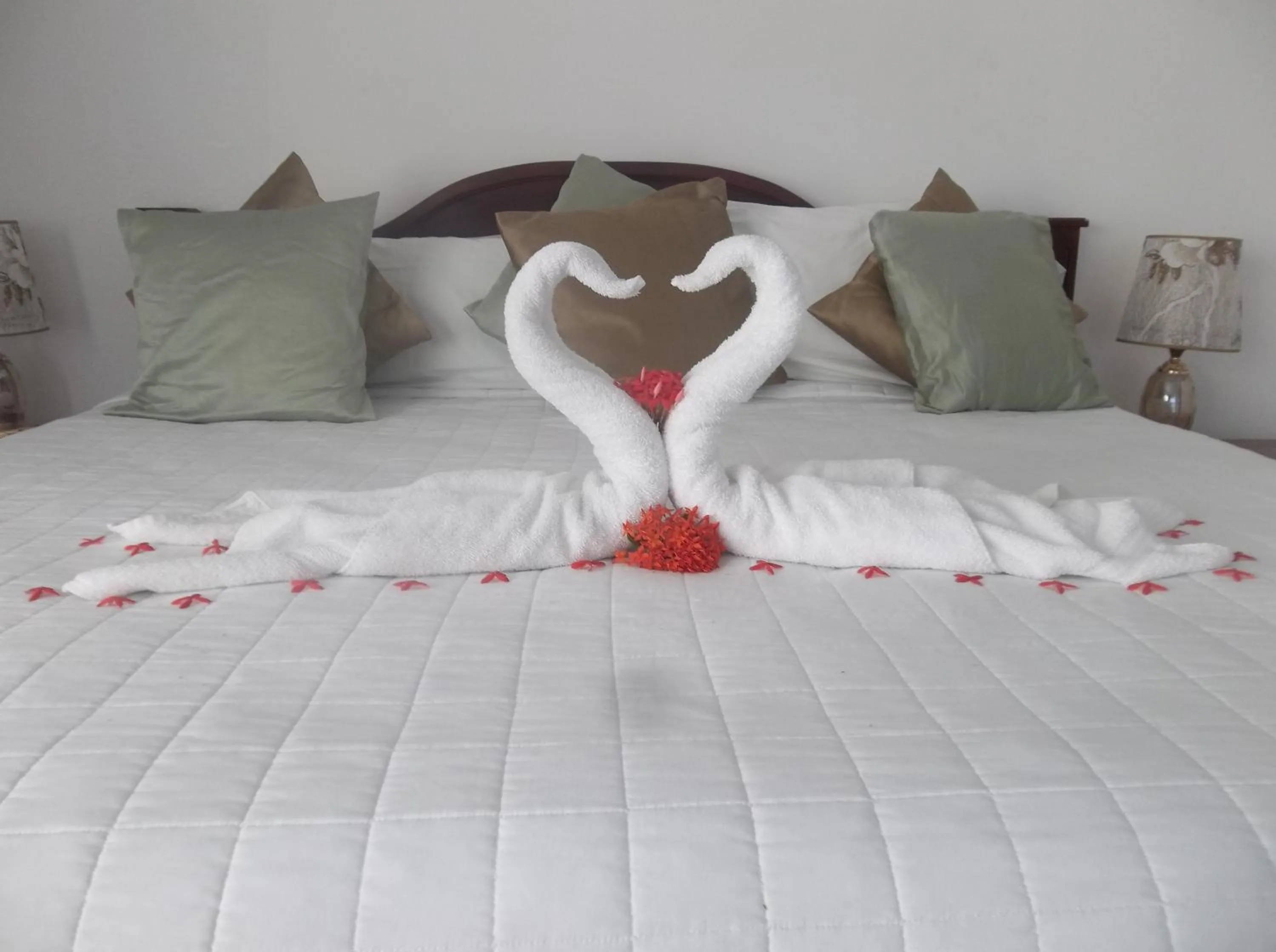 Bed in Fosters West Bay Resort