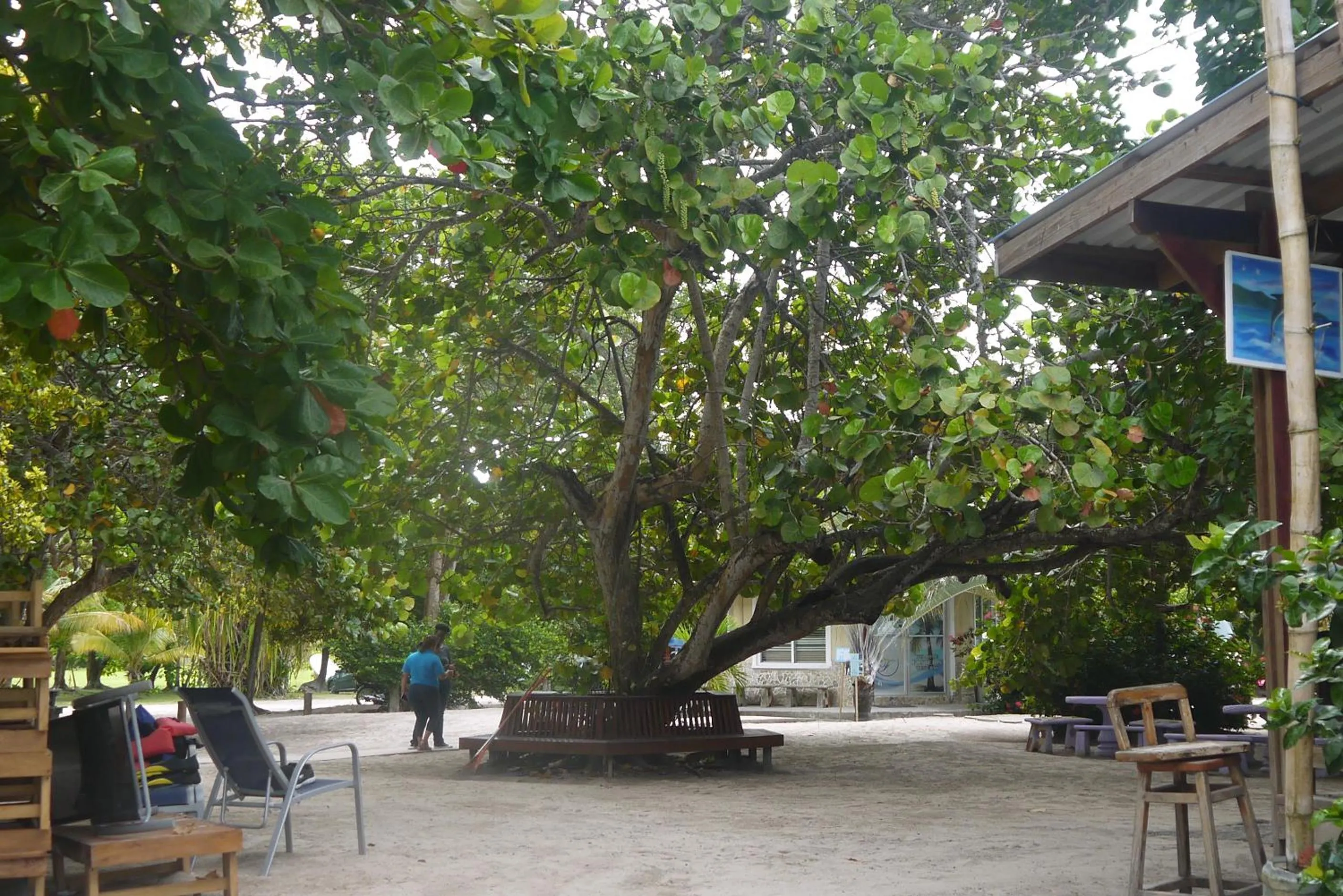 Patio in Fosters West Bay Resort