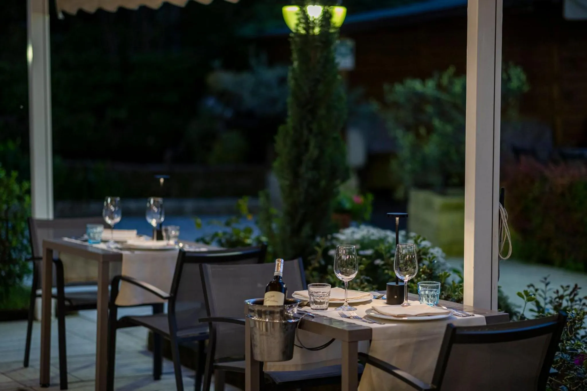 Food and drinks in Hotel Imperial ***S