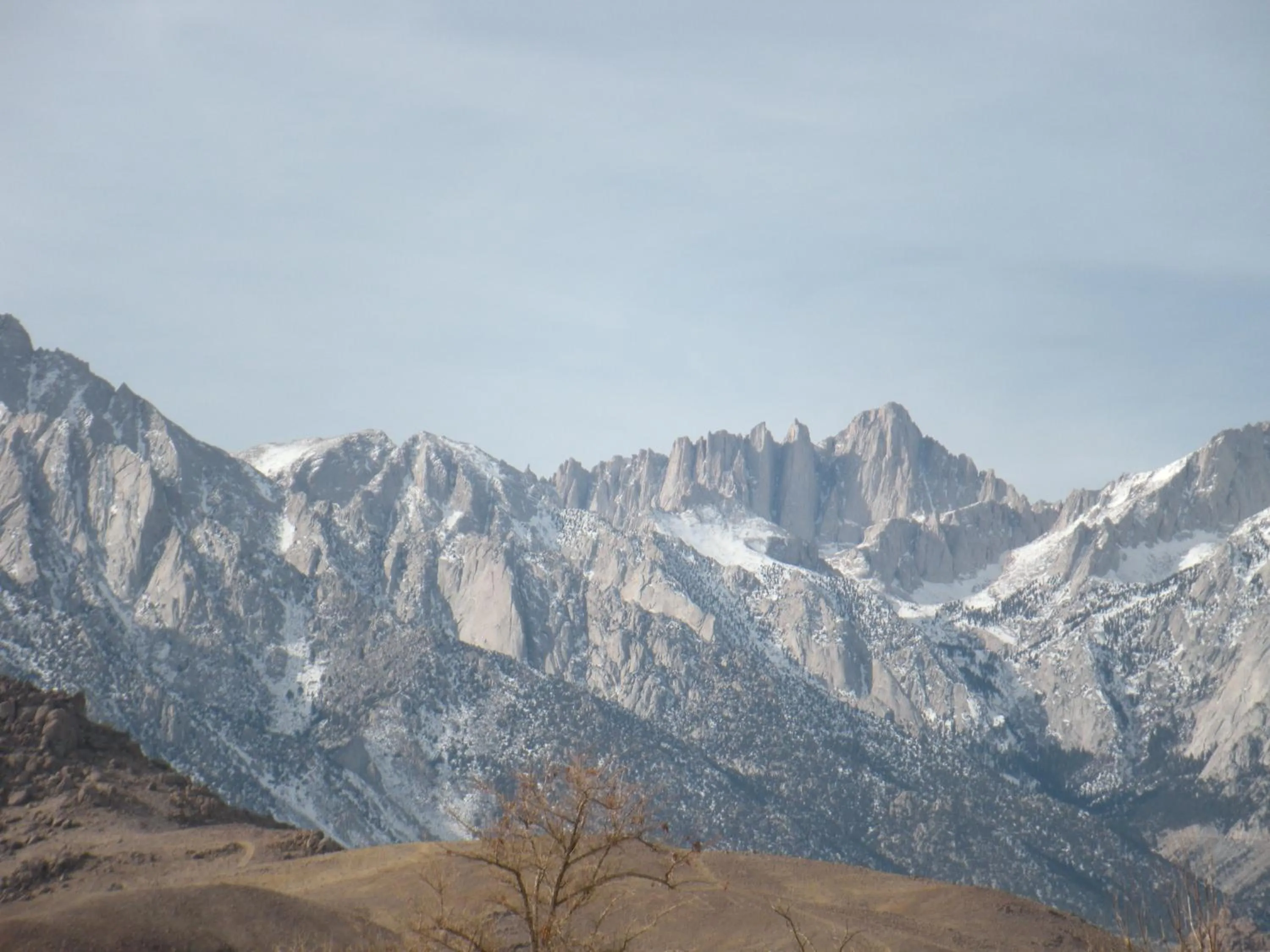 View (from property/room) in Lone Pine Budget Inn