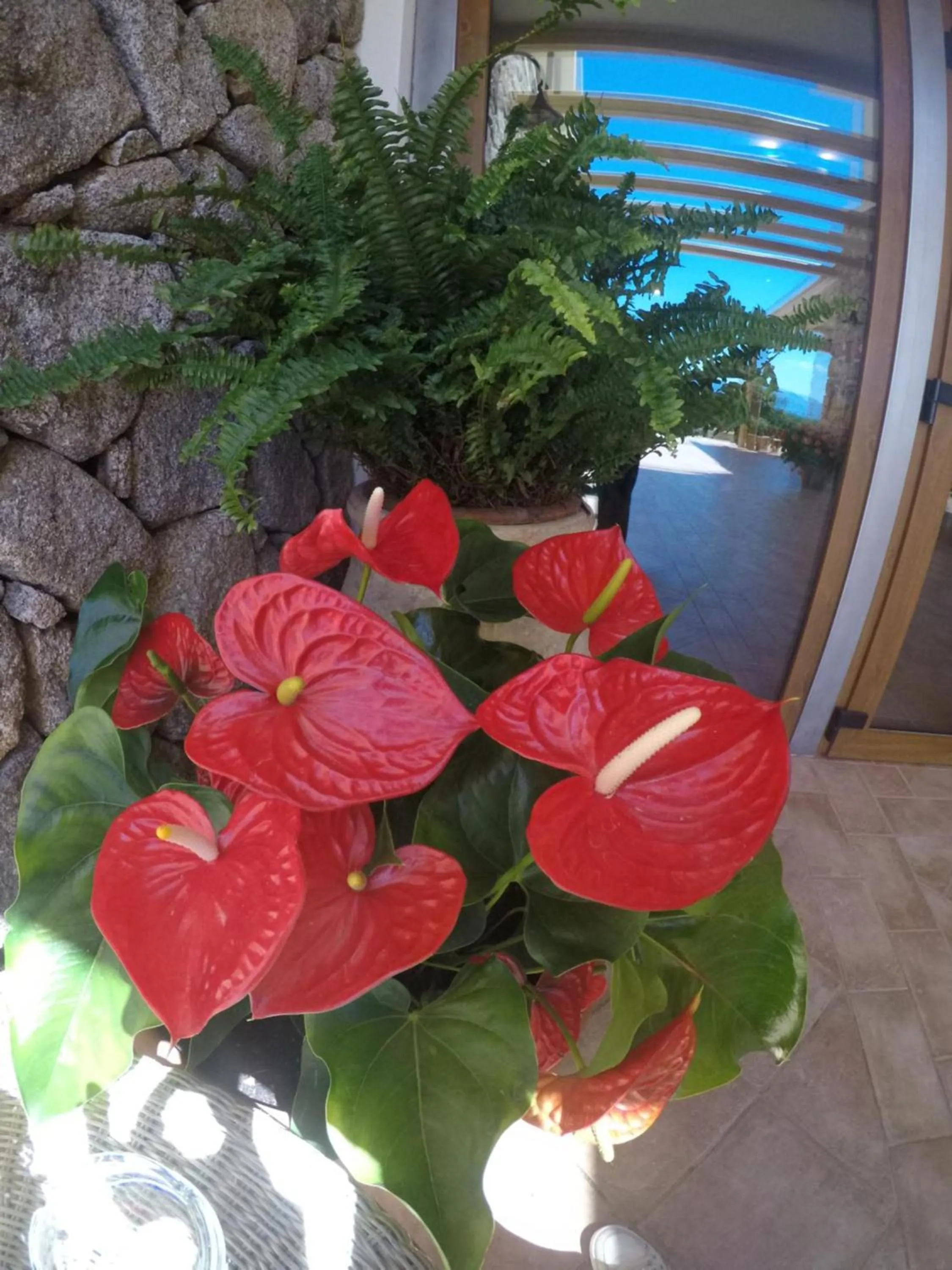 Hotel Villa Gustui Maris