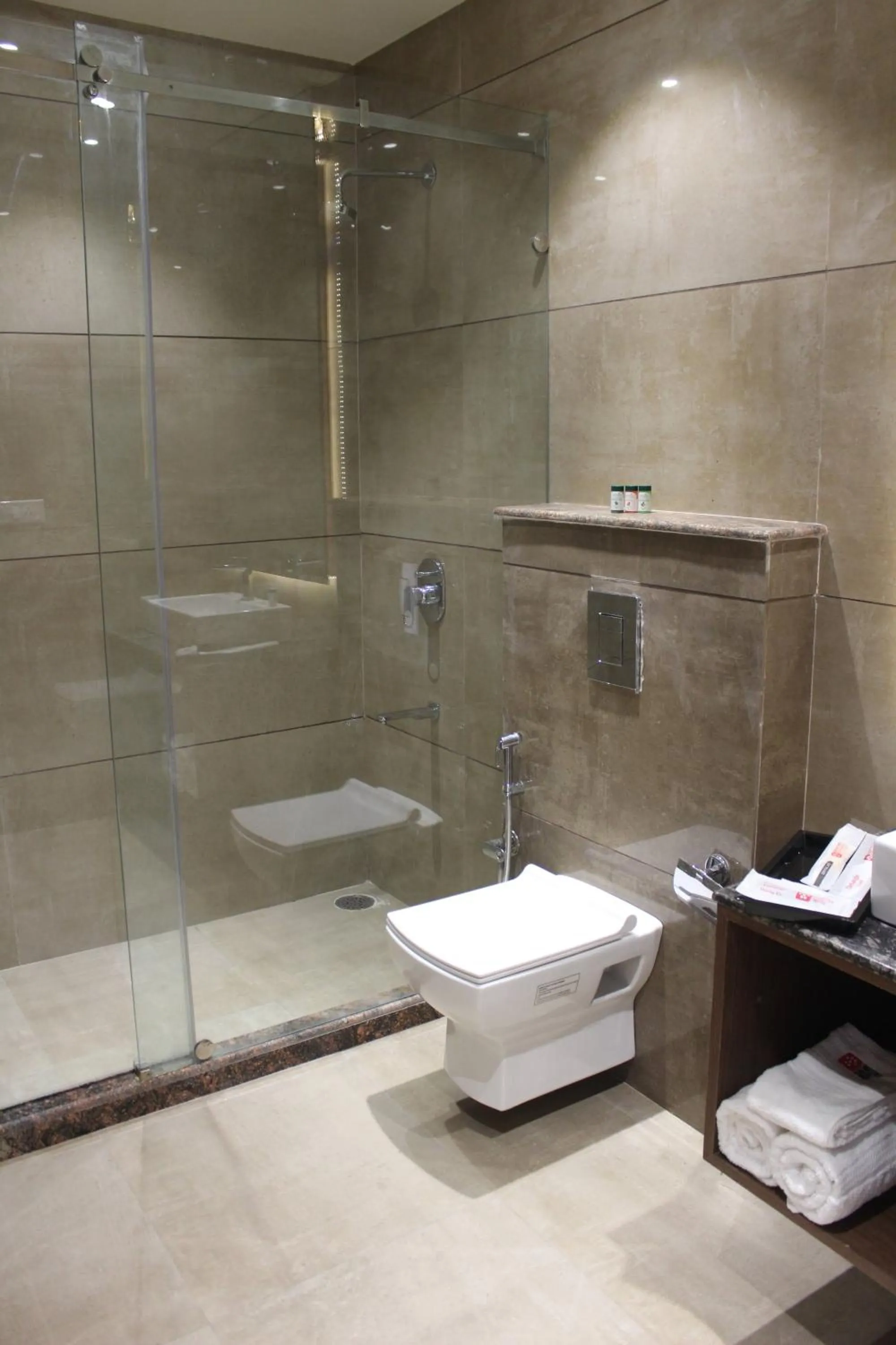 Toilet in Mastiff Hotel, Dalhousie