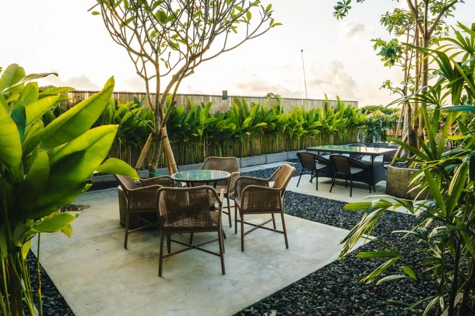 Garden in Tanaga CoLiving