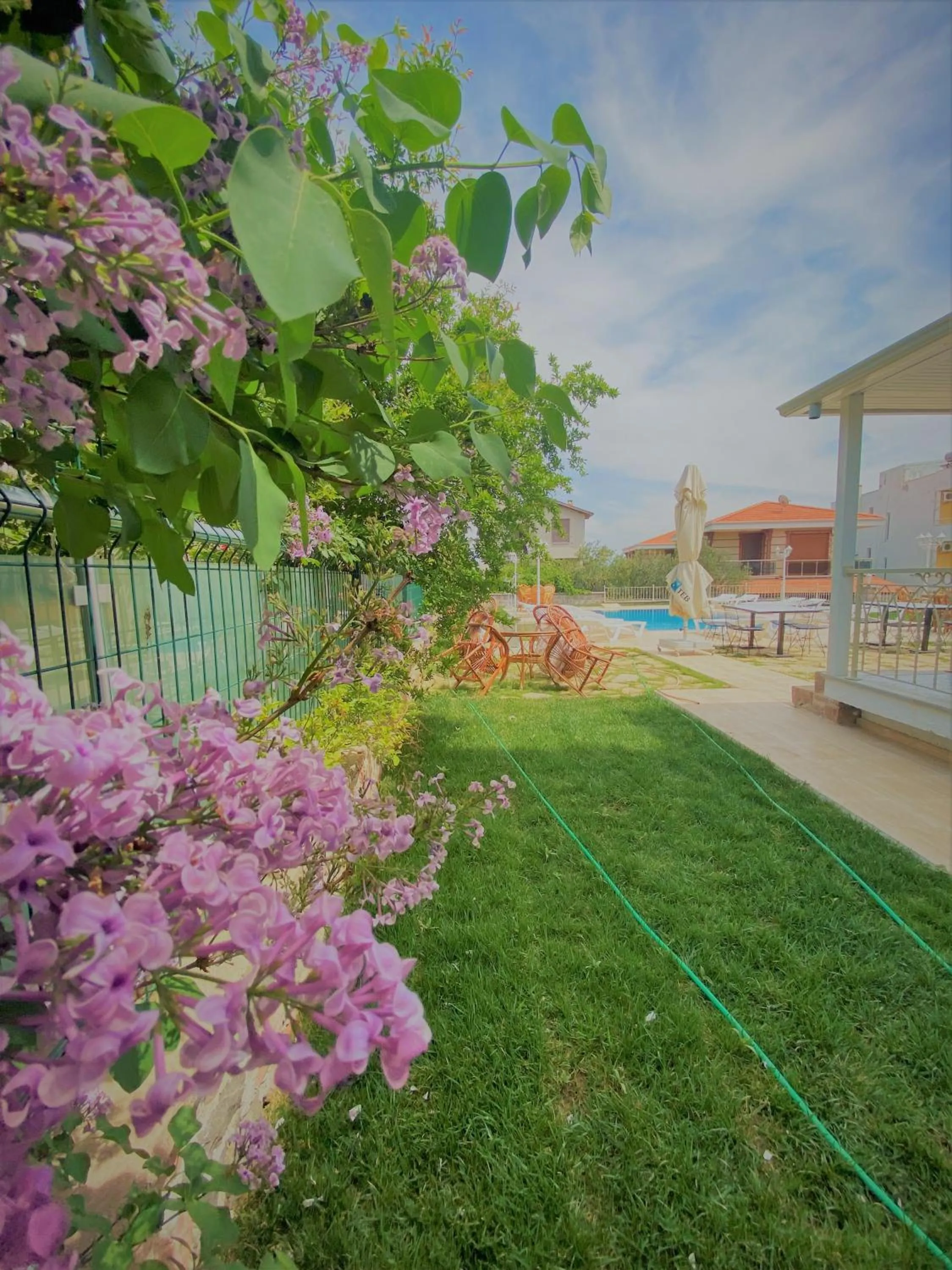 Swimming pool in Cunda Kordon Otel