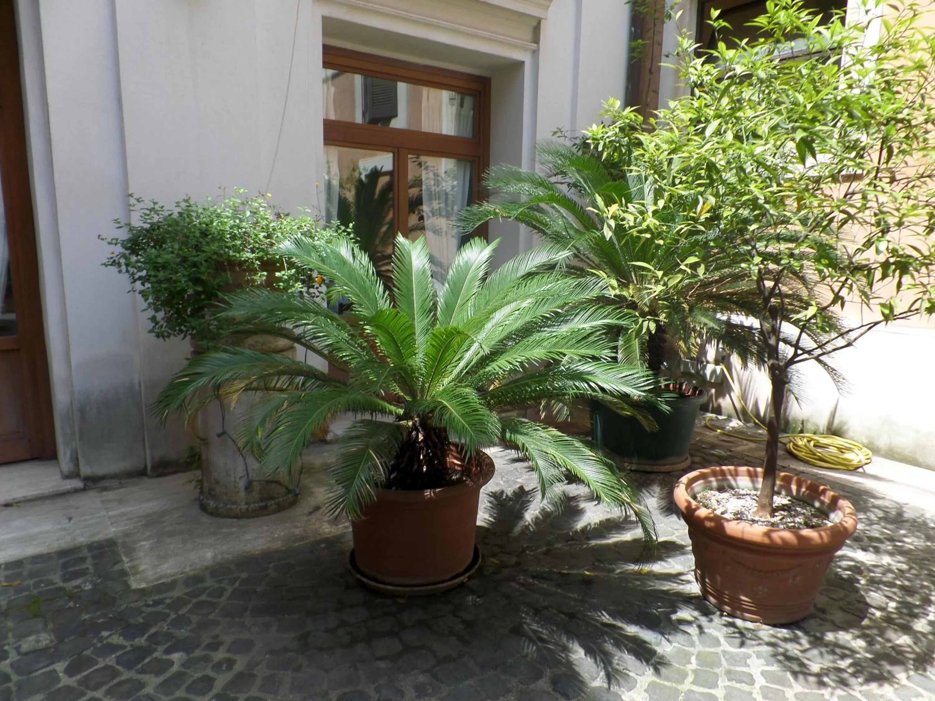 Facade/entrance in Relais Hotel Antico Palazzo Rospigliosi