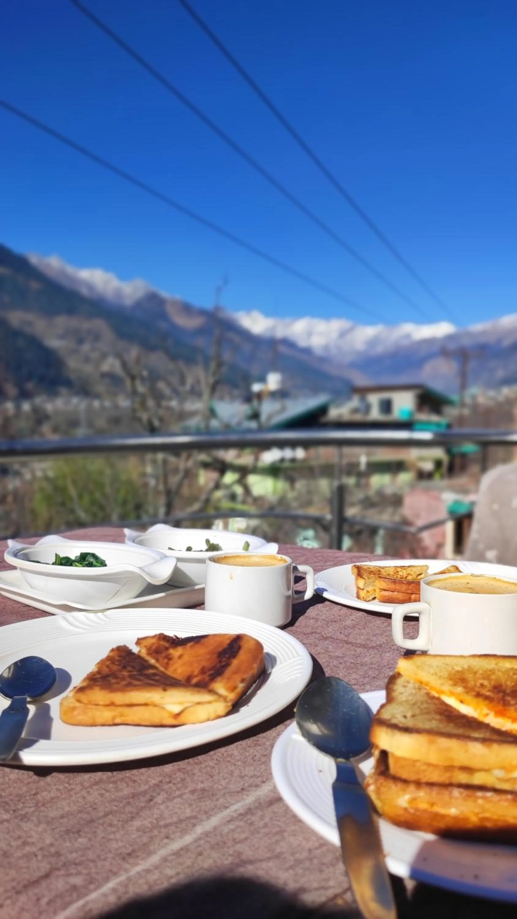 Food and drinks in indian backpackers hostel