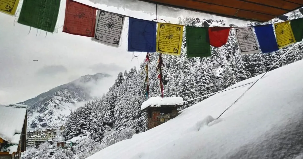 Property building in indian backpackers hostel