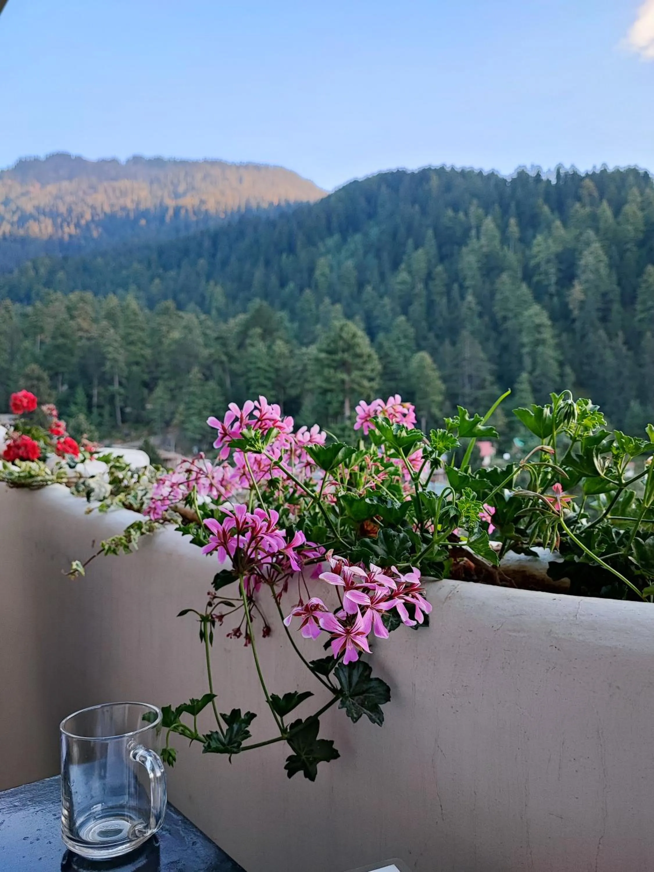 Spring in indian backpackers hostel