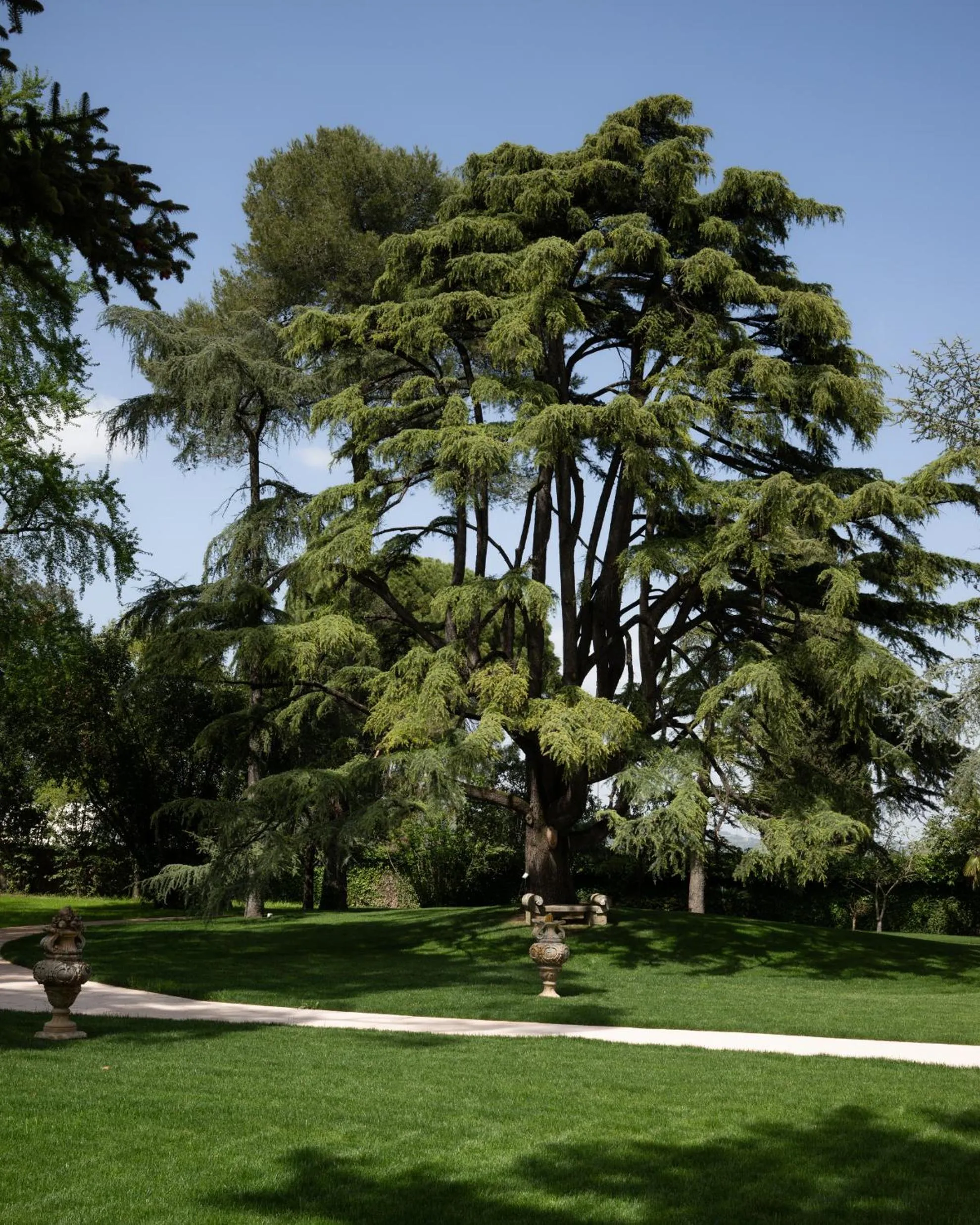 Garden in Posta Donini 1579 - UNA Esperienze