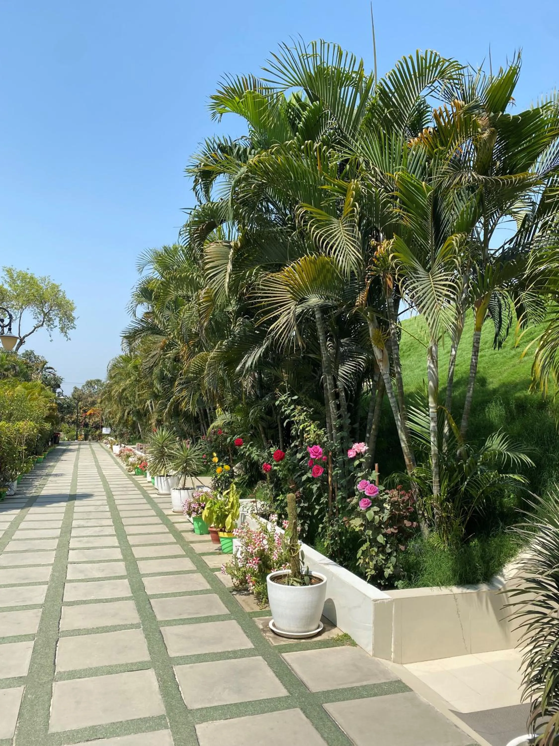 Garden in Sambodhi Retreat