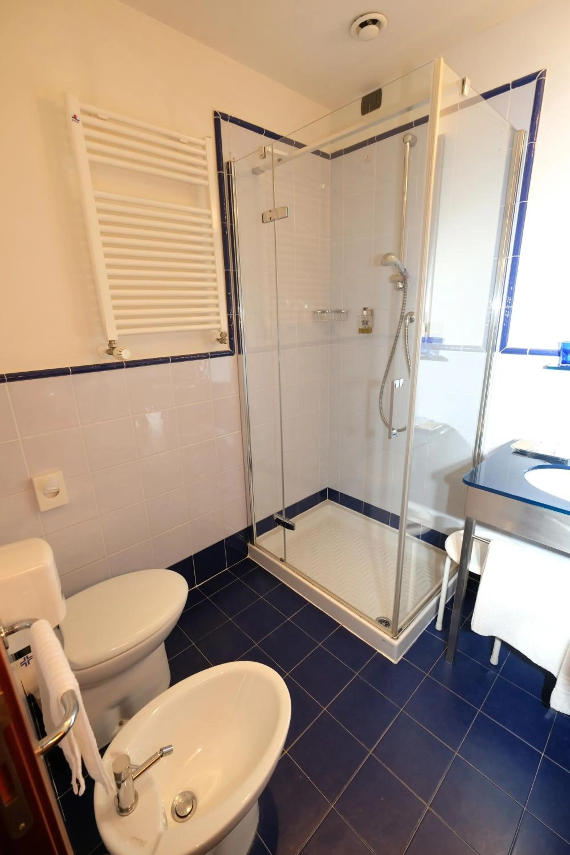 Toilet in Hotel Balance