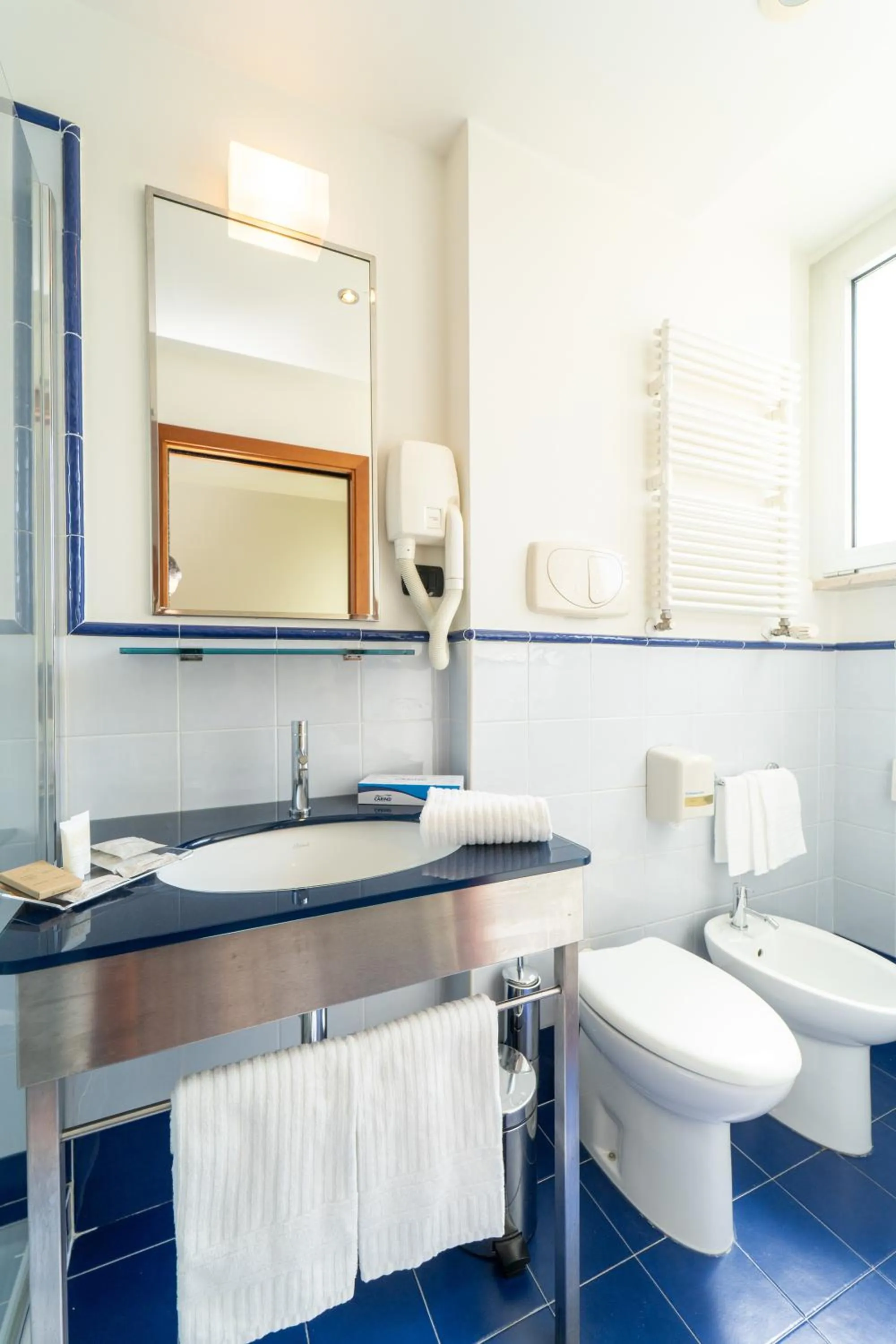 Toilet in Hotel Balance