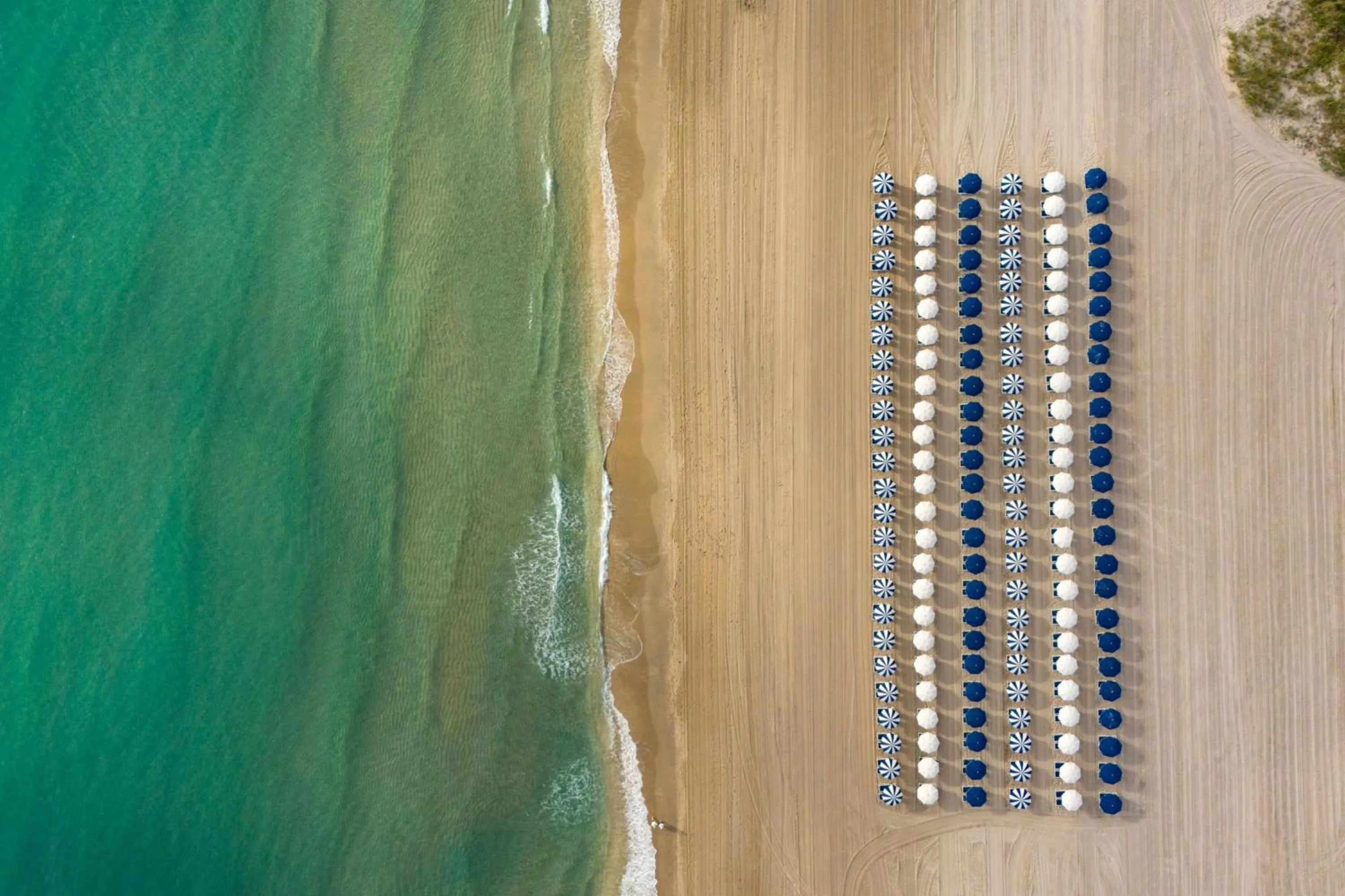 Beach in The Seagate Hotel, Golf & Beach Club, Autograph Collection