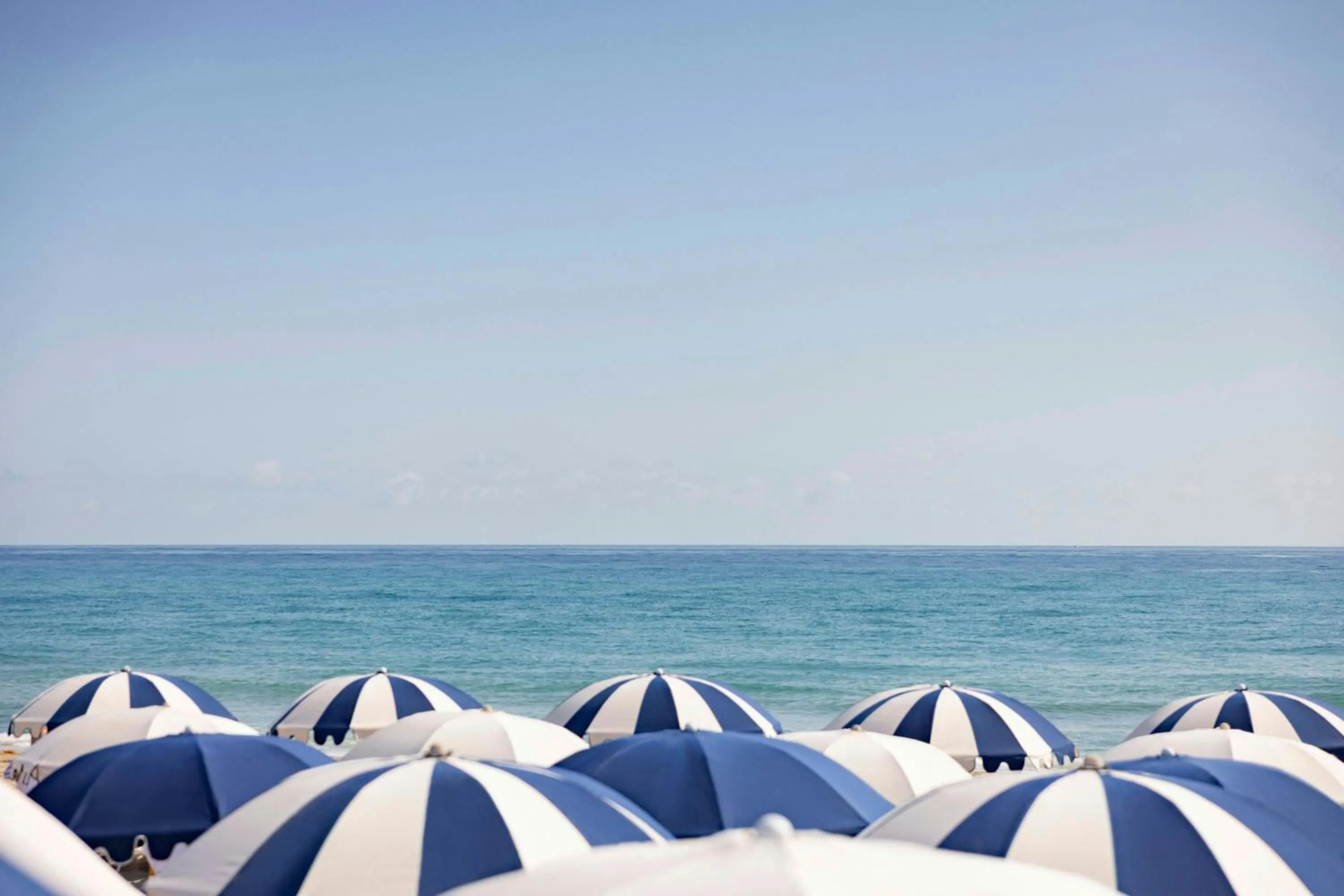 Beach in The Seagate Hotel, Golf & Beach Club, Autograph Collection