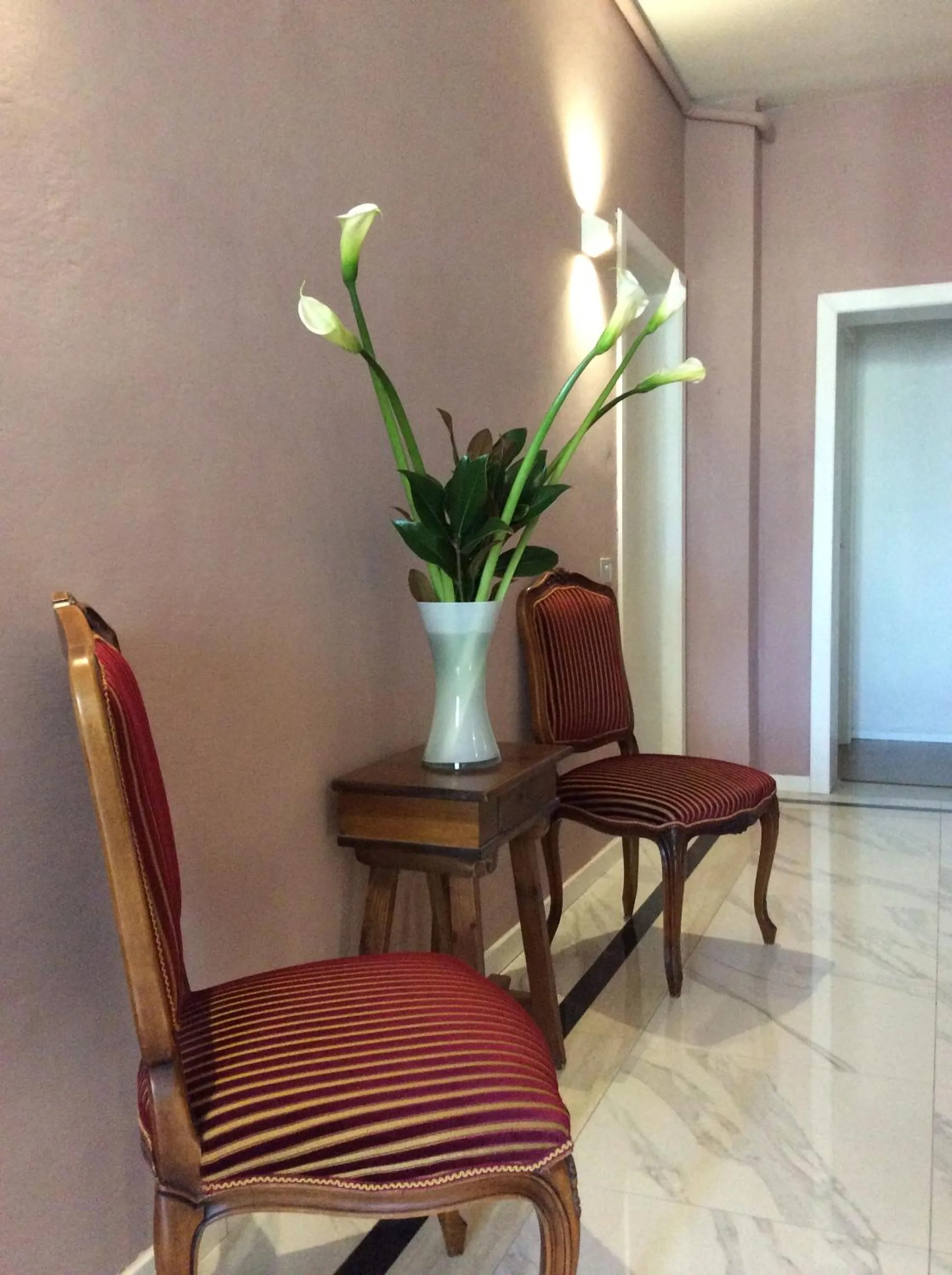 Area and facilities in Hotel Jolì