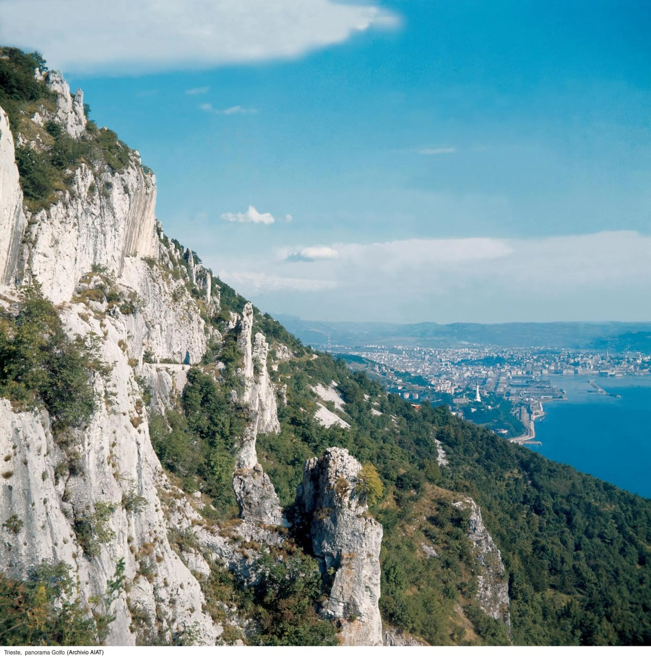 Area and facilities in Hotel Italia