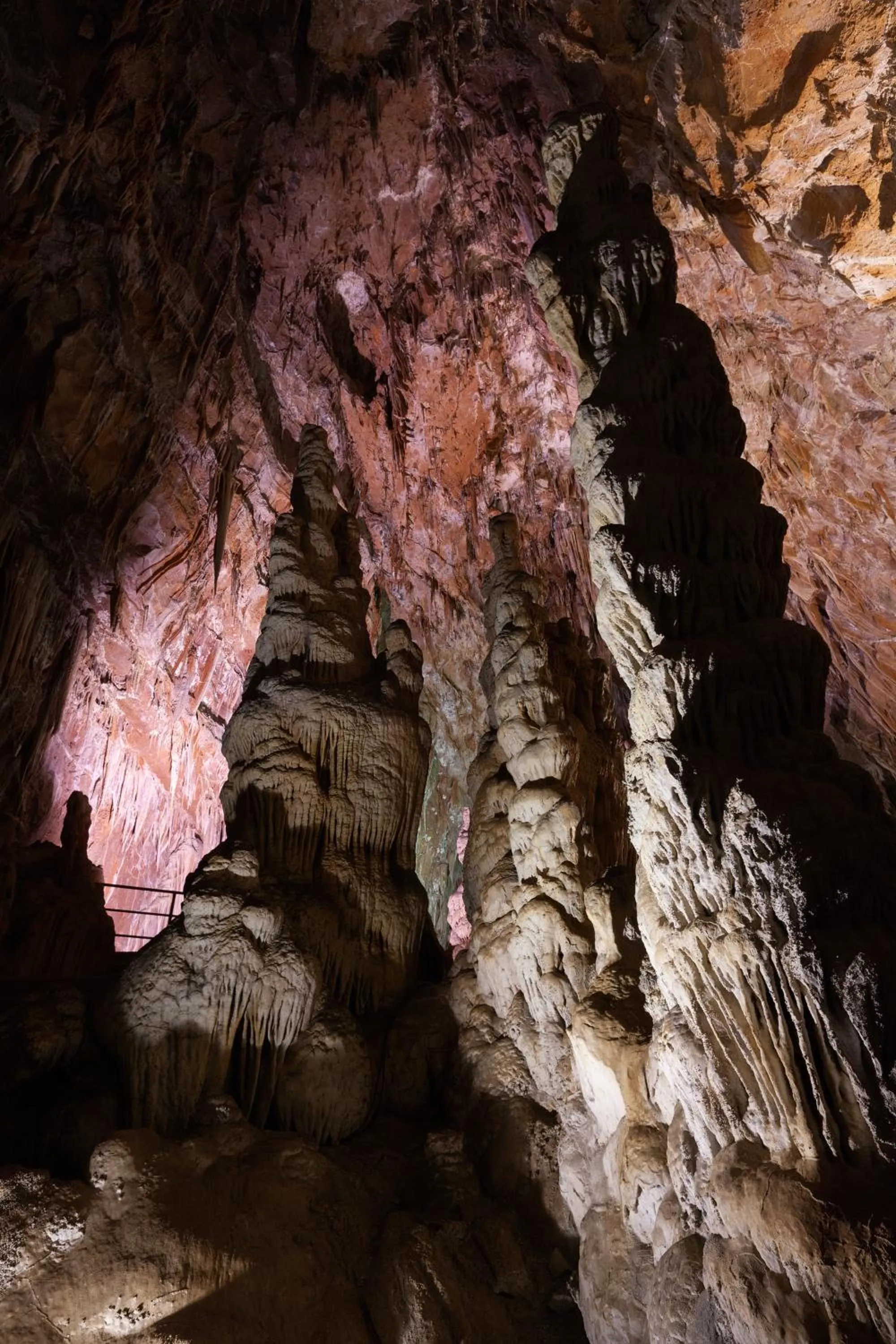 Area and facilities in Hotel Italia