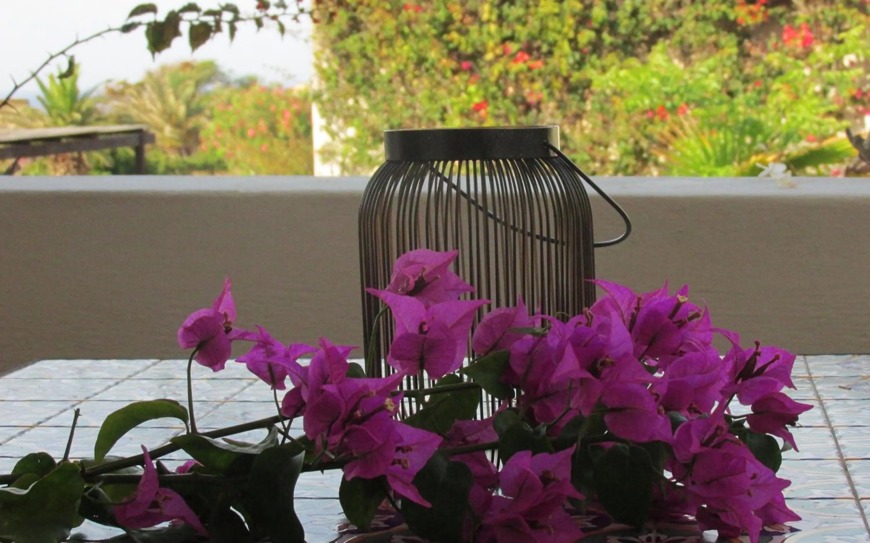 Balcony/Terrace in Agriturismo Le Lanterne