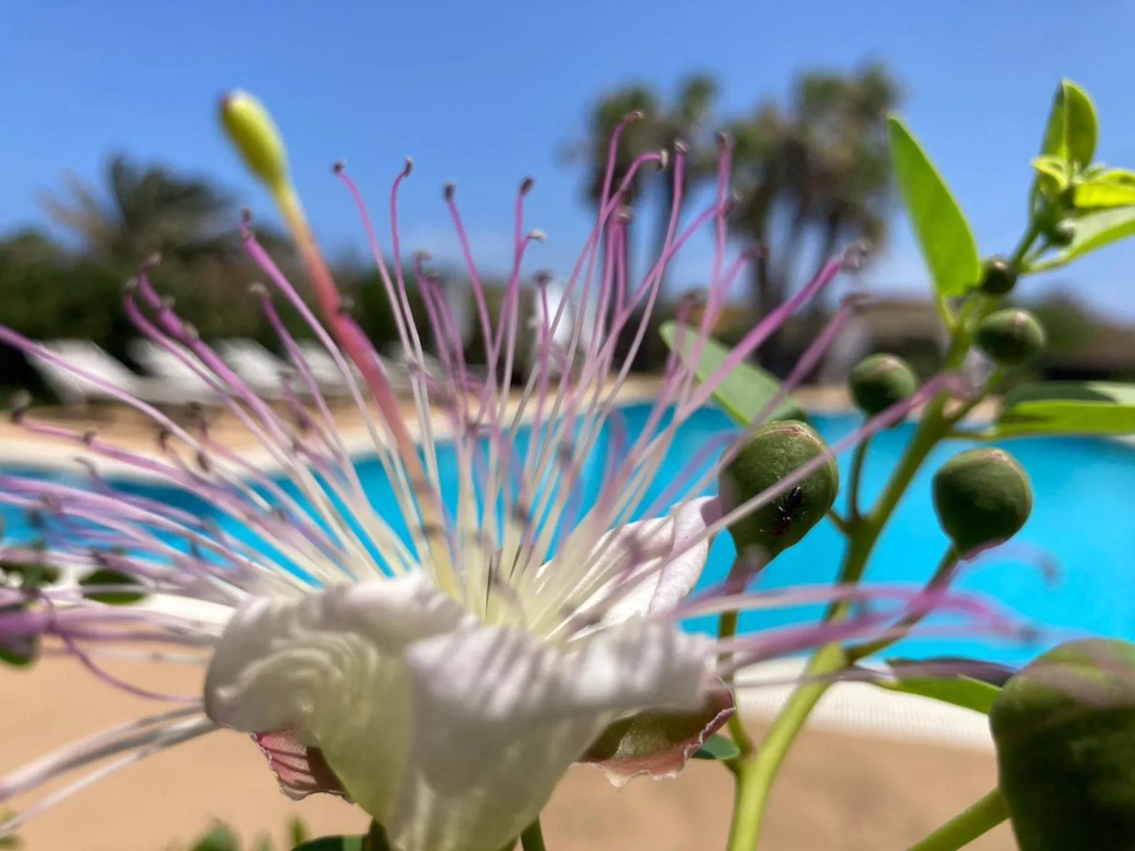 Day in Agriturismo Le Lanterne