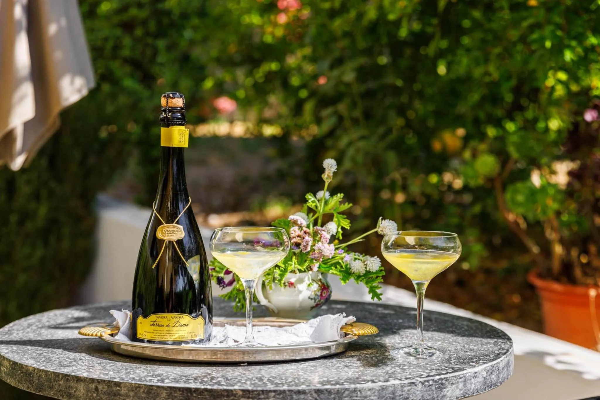 Garden in Villa Tranberg Suites