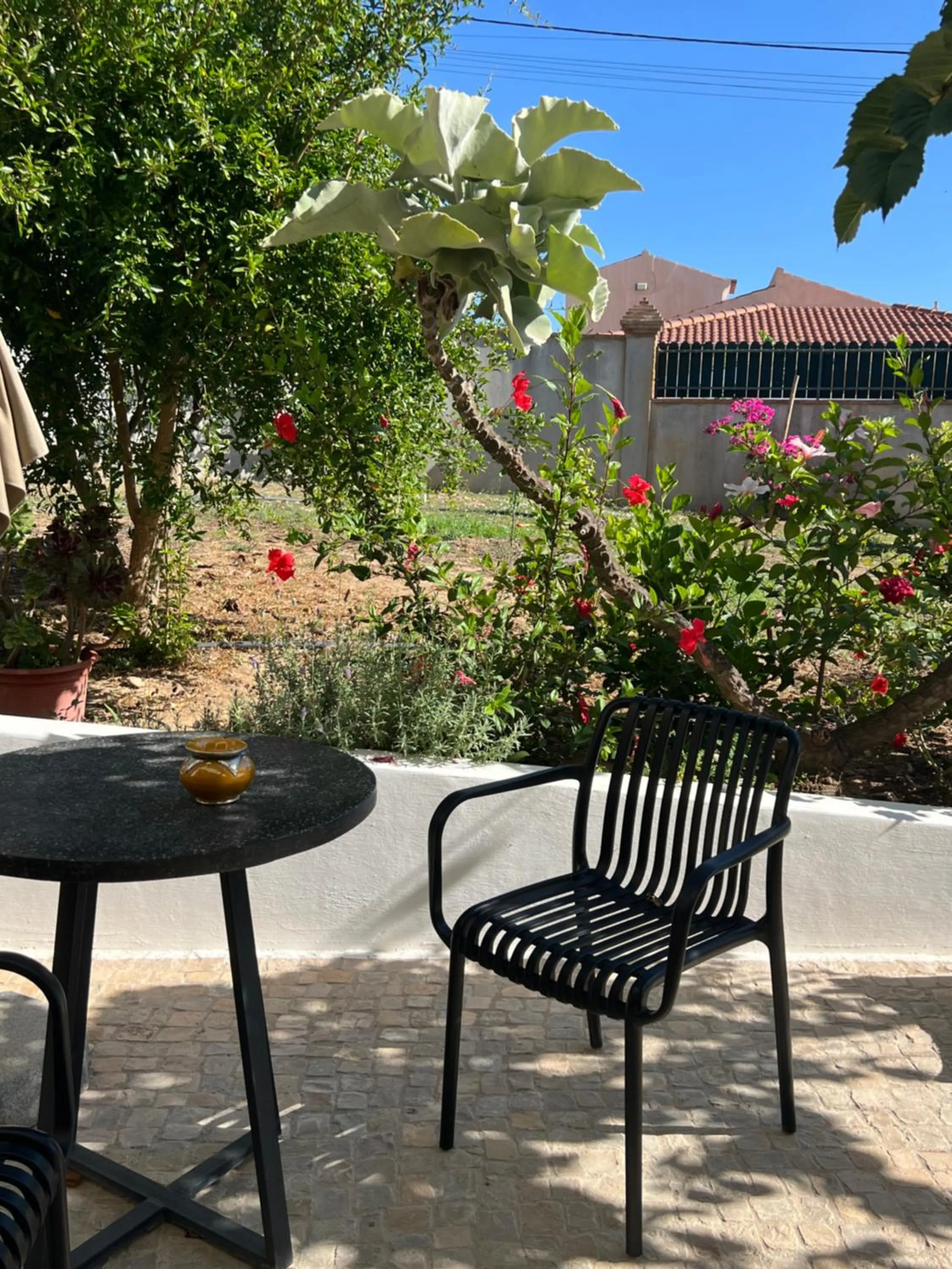 Patio in Villa Tranberg Suites