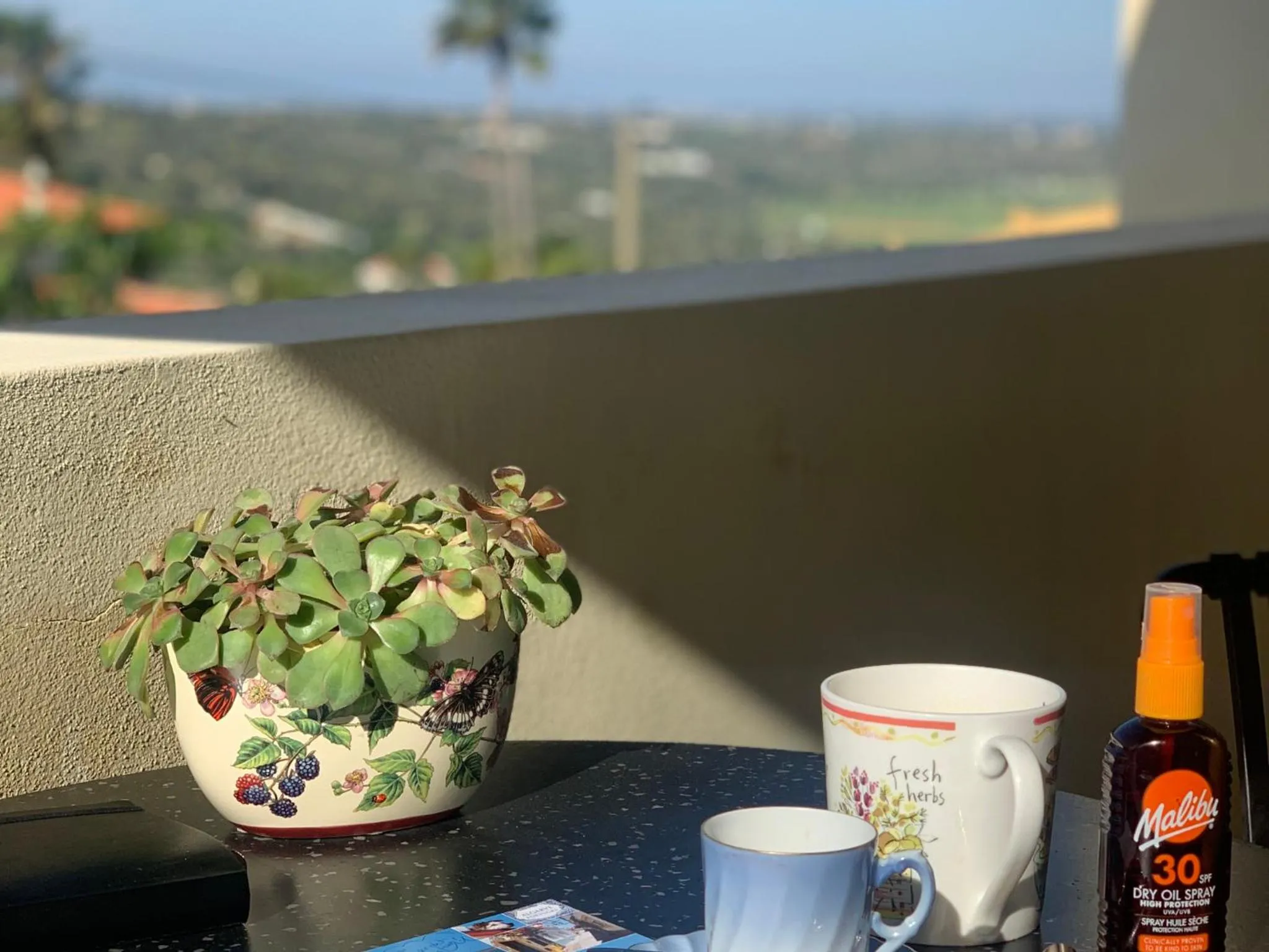 Balcony/Terrace in Villa Tranberg Suites