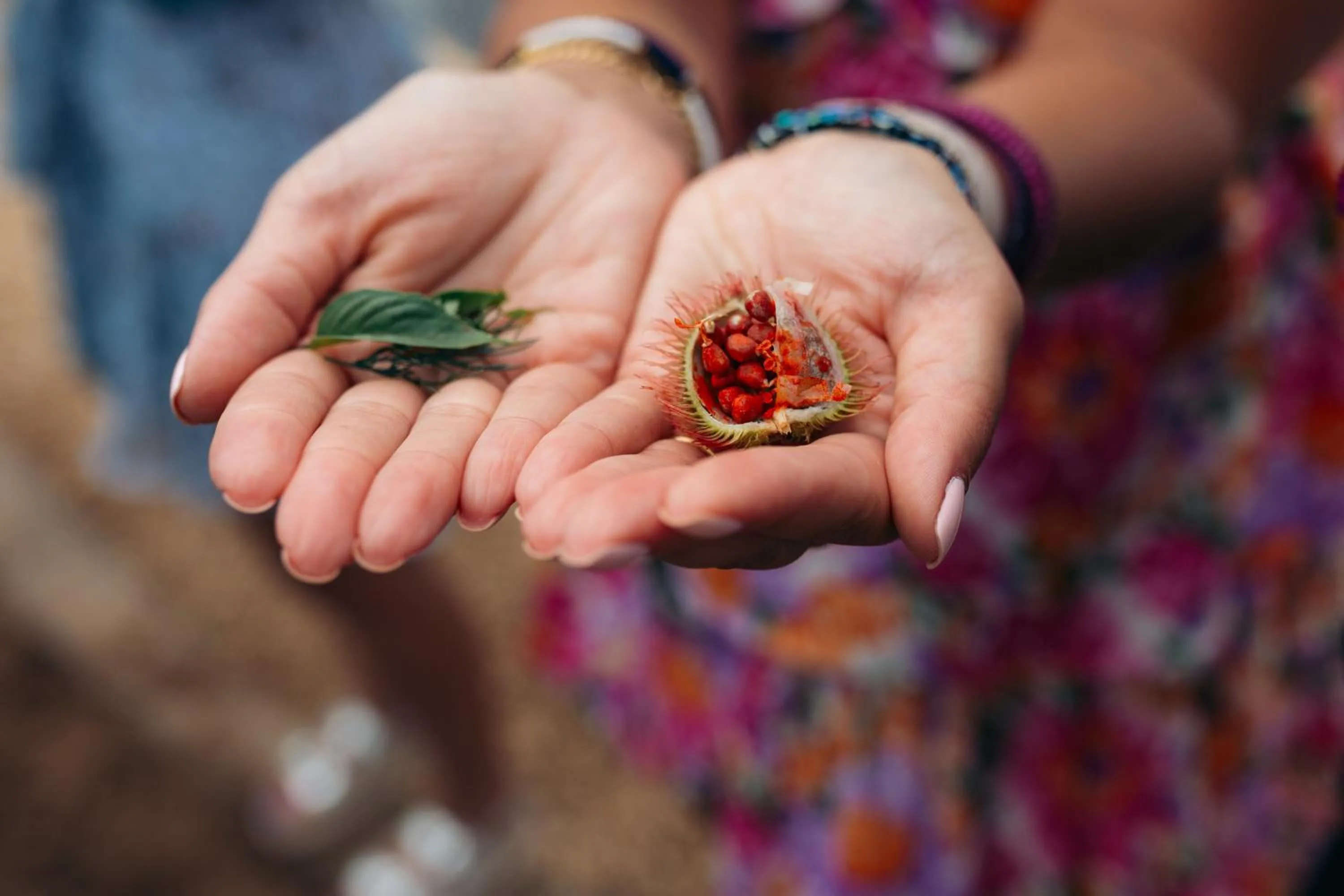 Garden in Safira Blu Luxury Resort & Villas