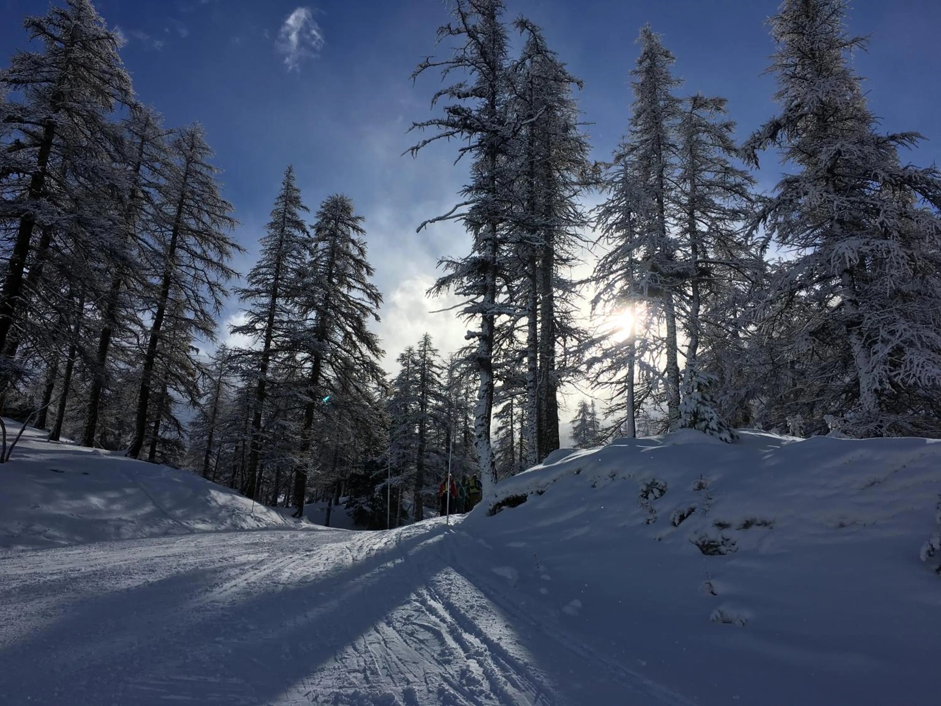 Natural landscape in Hotel Des Alpes