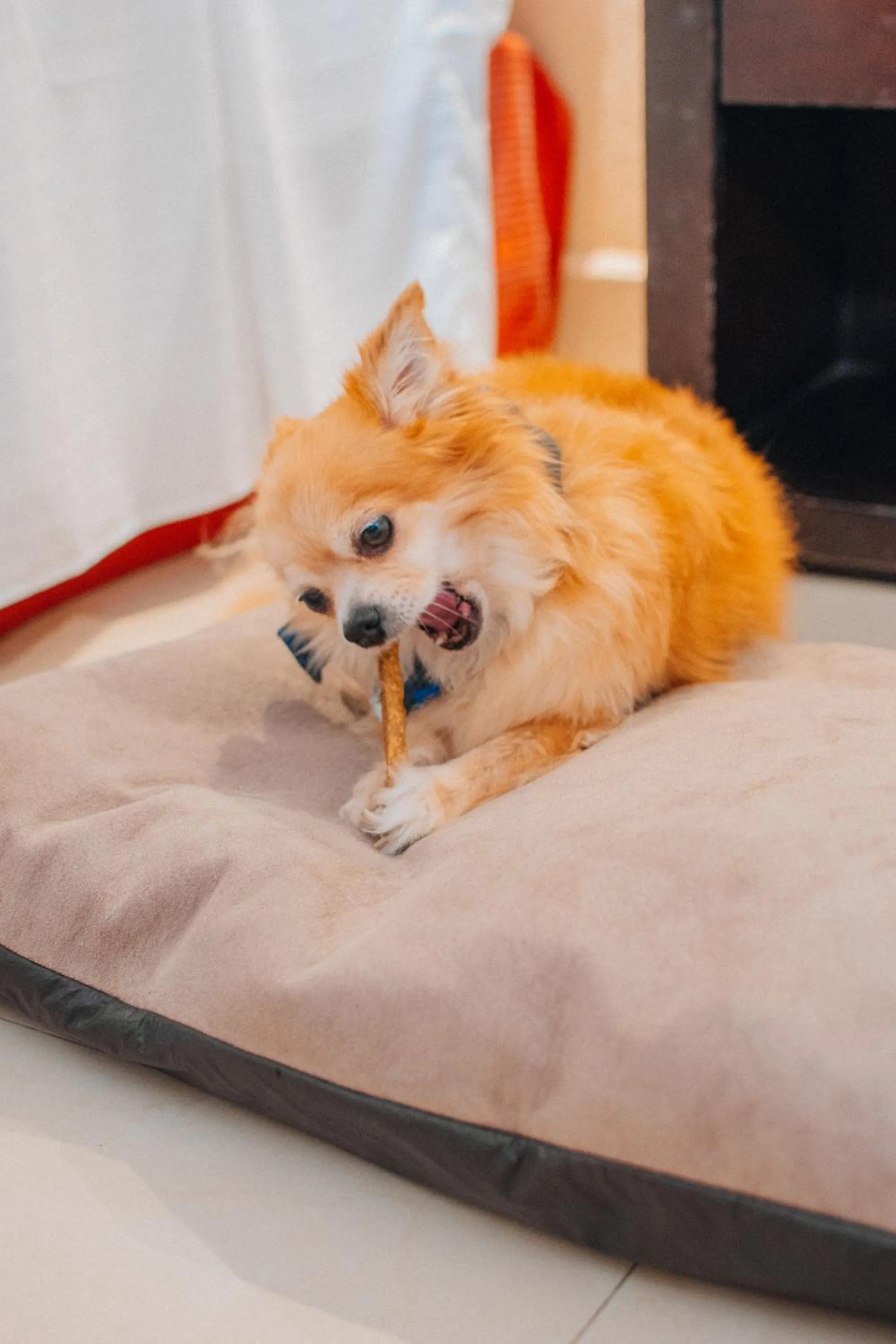 Bedroom in Eco City Hoteles