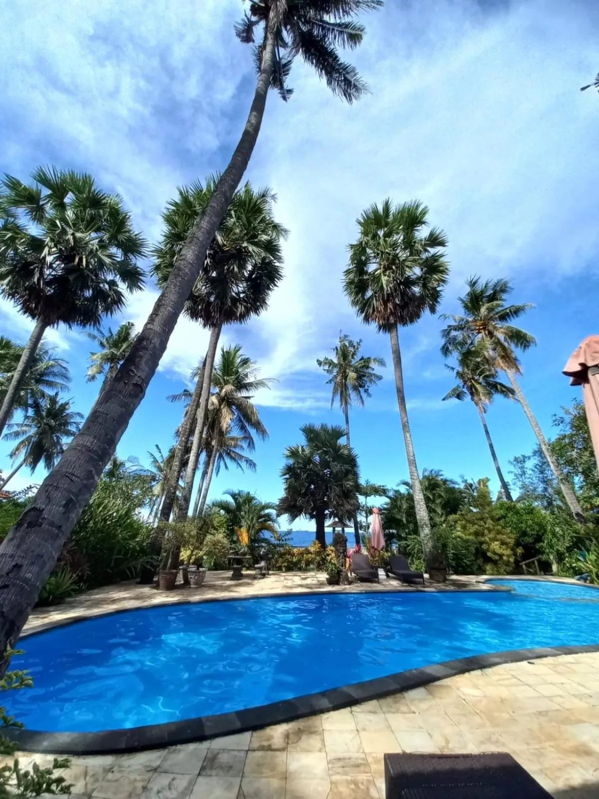 Swimming pool in Bali North Beach B&B