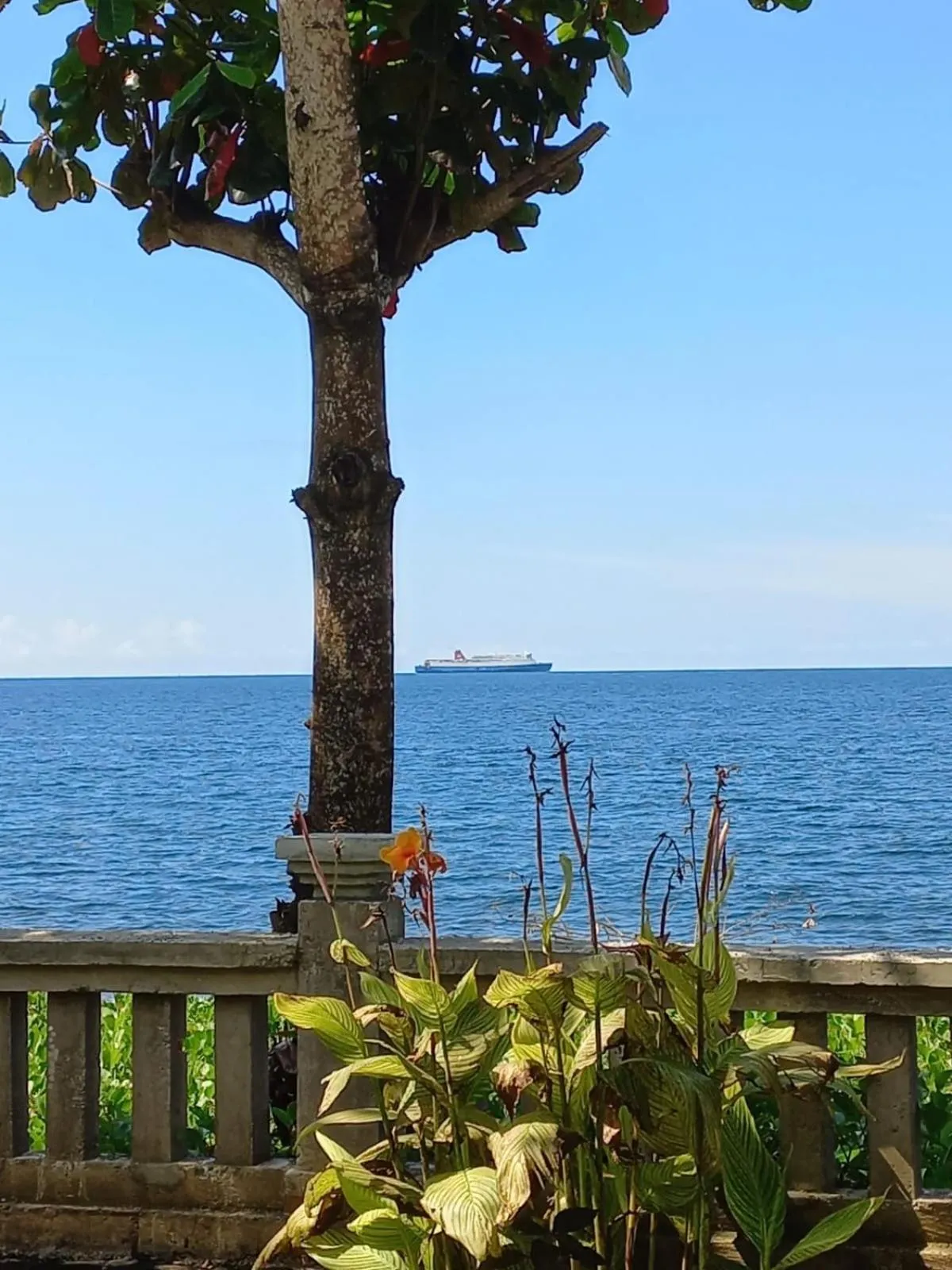 Natural landscape in Bali North Beach B&B