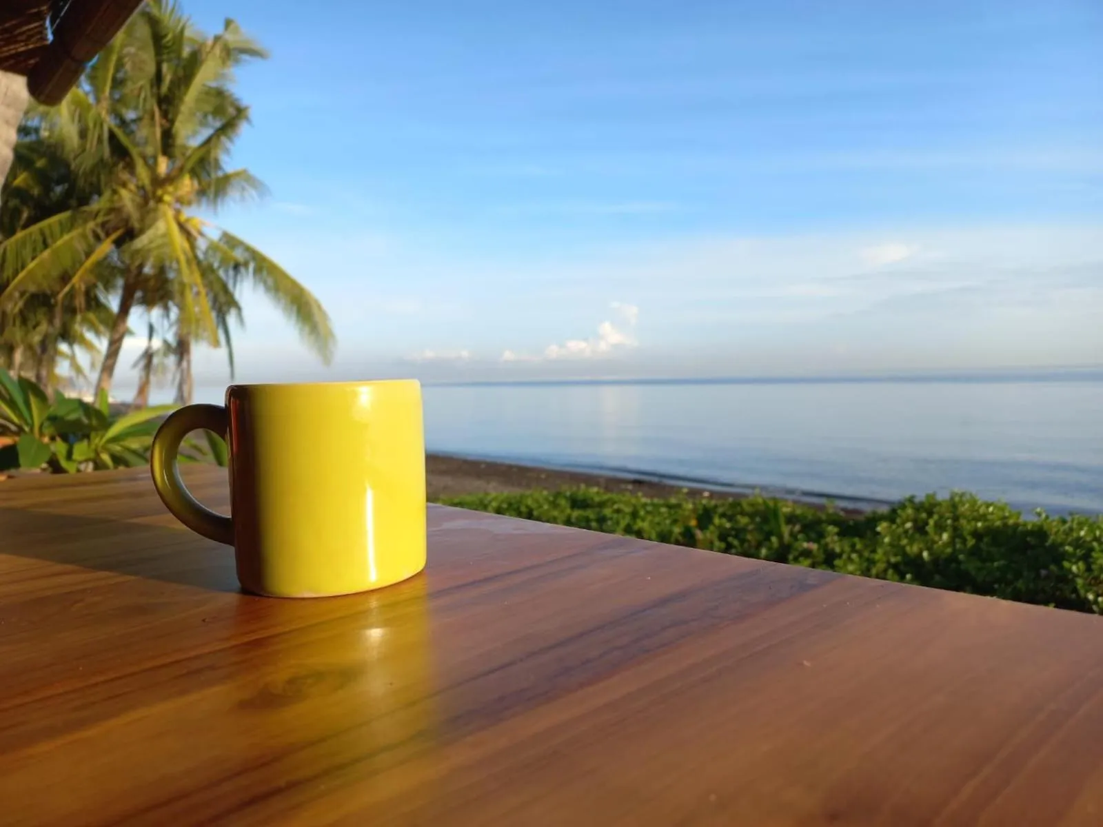 Natural landscape in Bali North Beach B&B