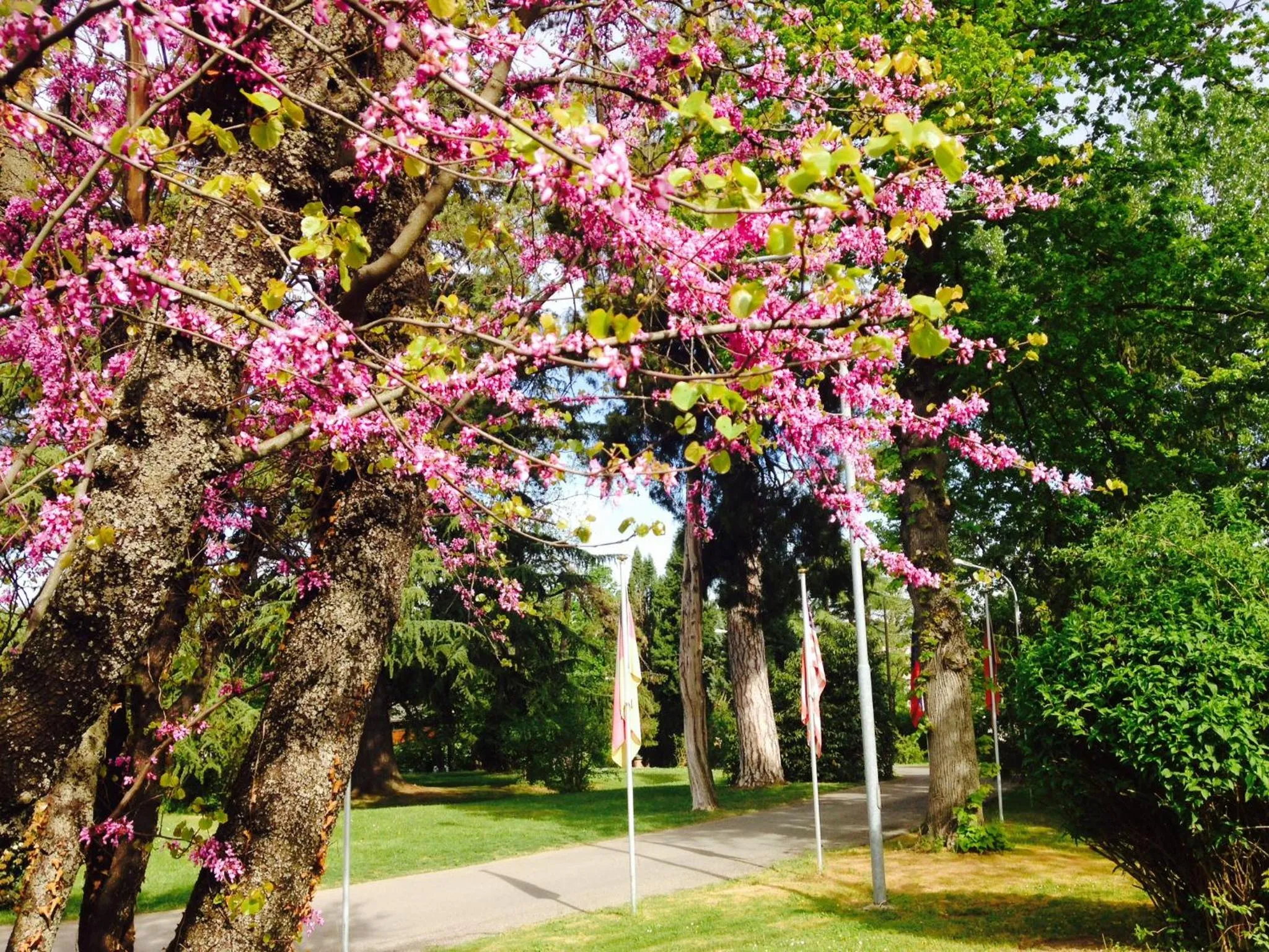 Facade/entrance in Hotel Terme Salvarola