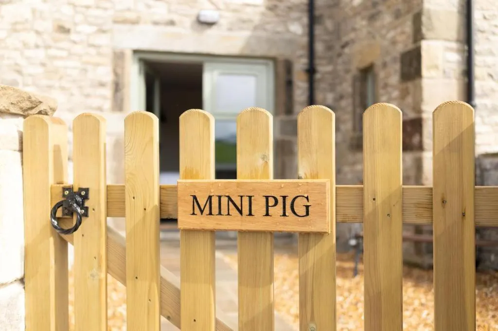 Property building in The Blind Bull