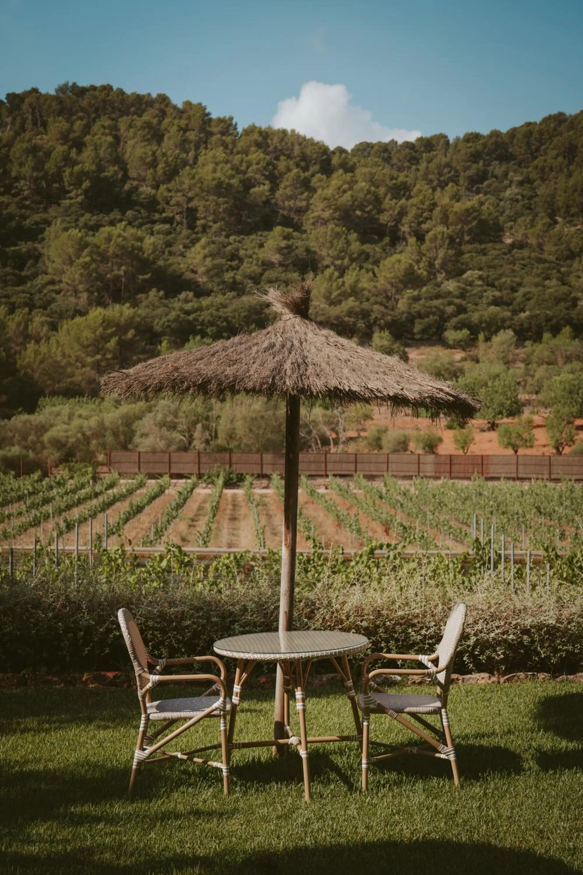Rondaia, a Winery & Fincahotel-Agroturismo in Tramuntana