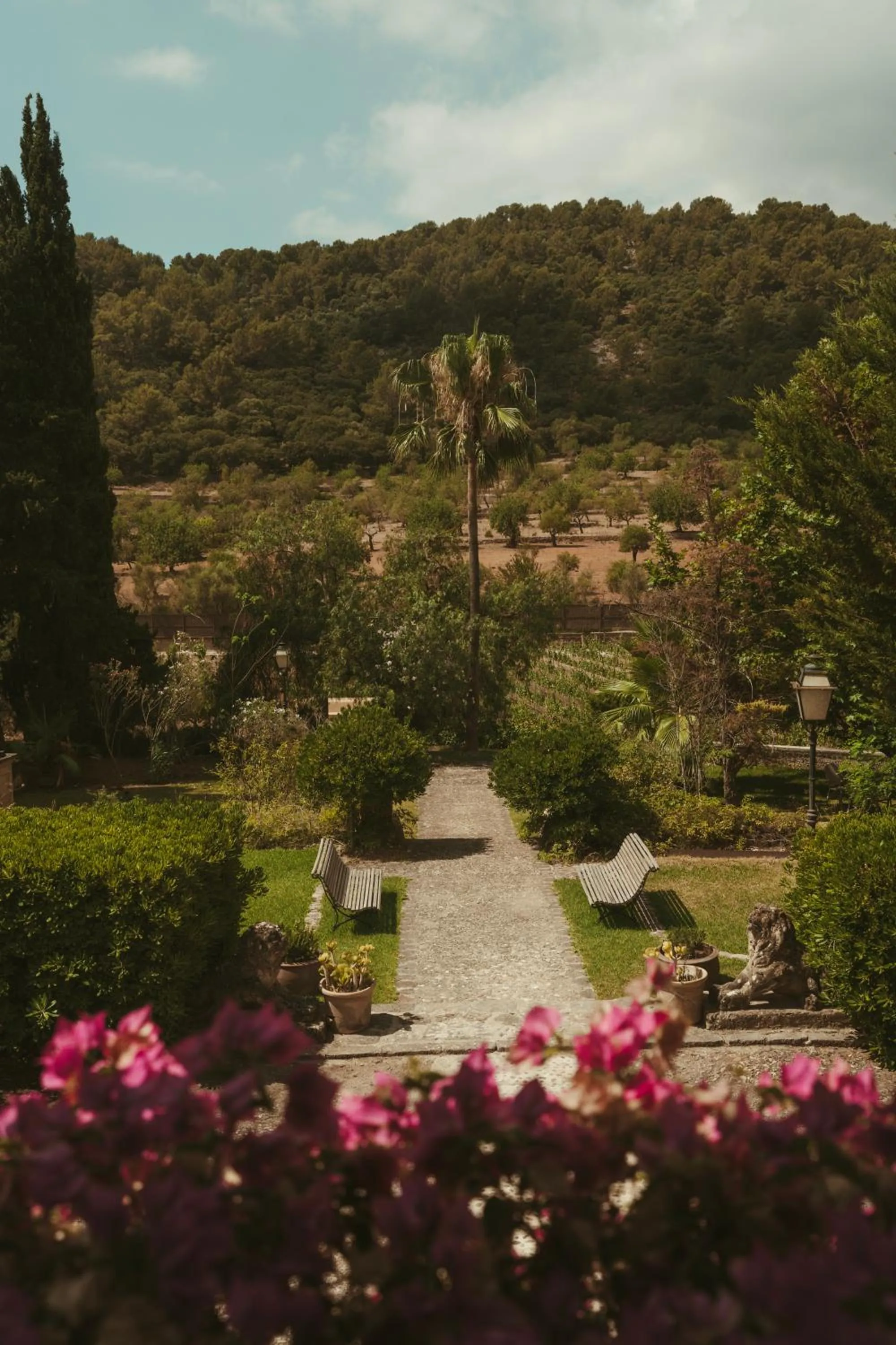 Rondaia, a Winery & Fincahotel-Agroturismo in Tramuntana