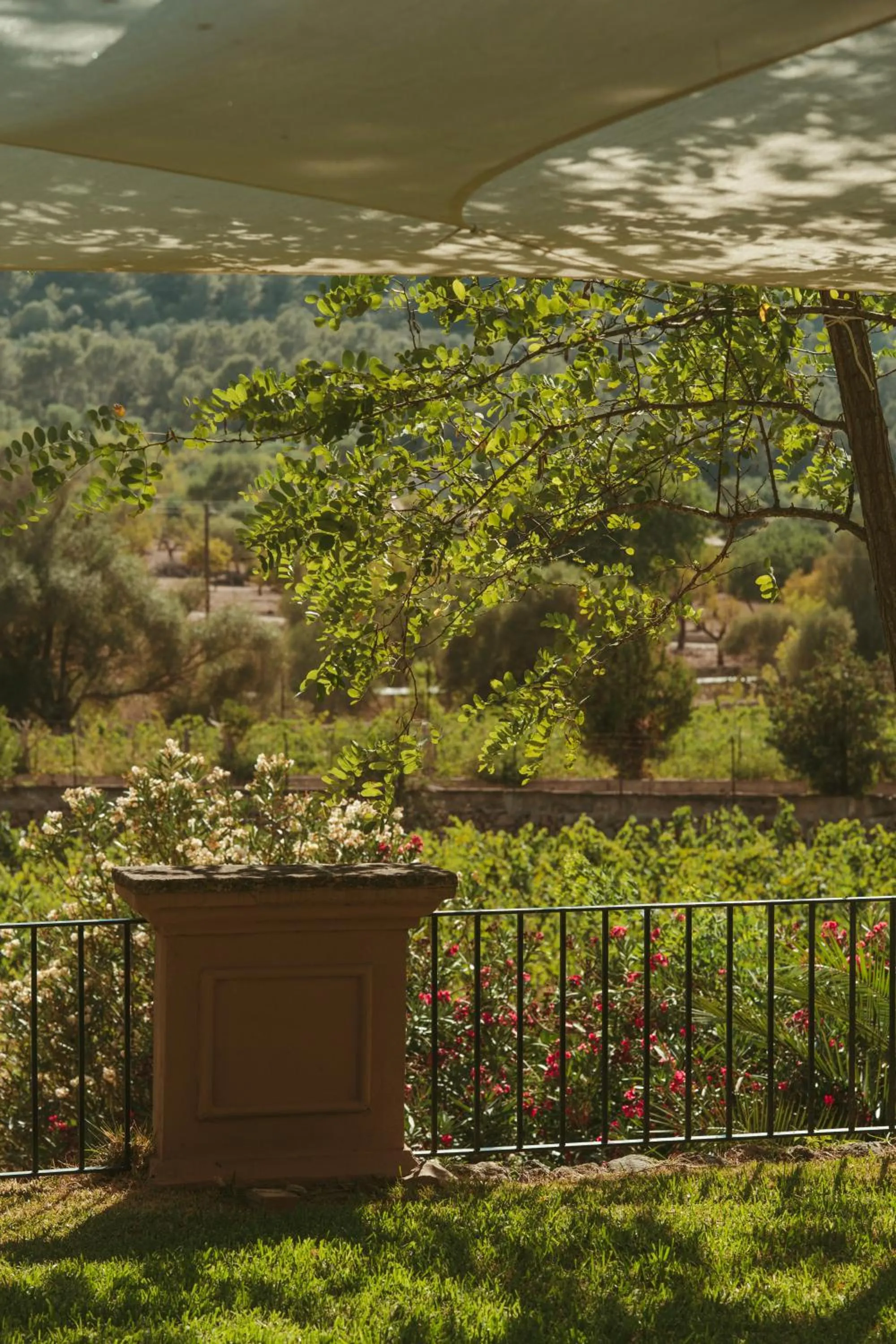 Rondaia, a Winery & Fincahotel-Agroturismo in Tramuntana
