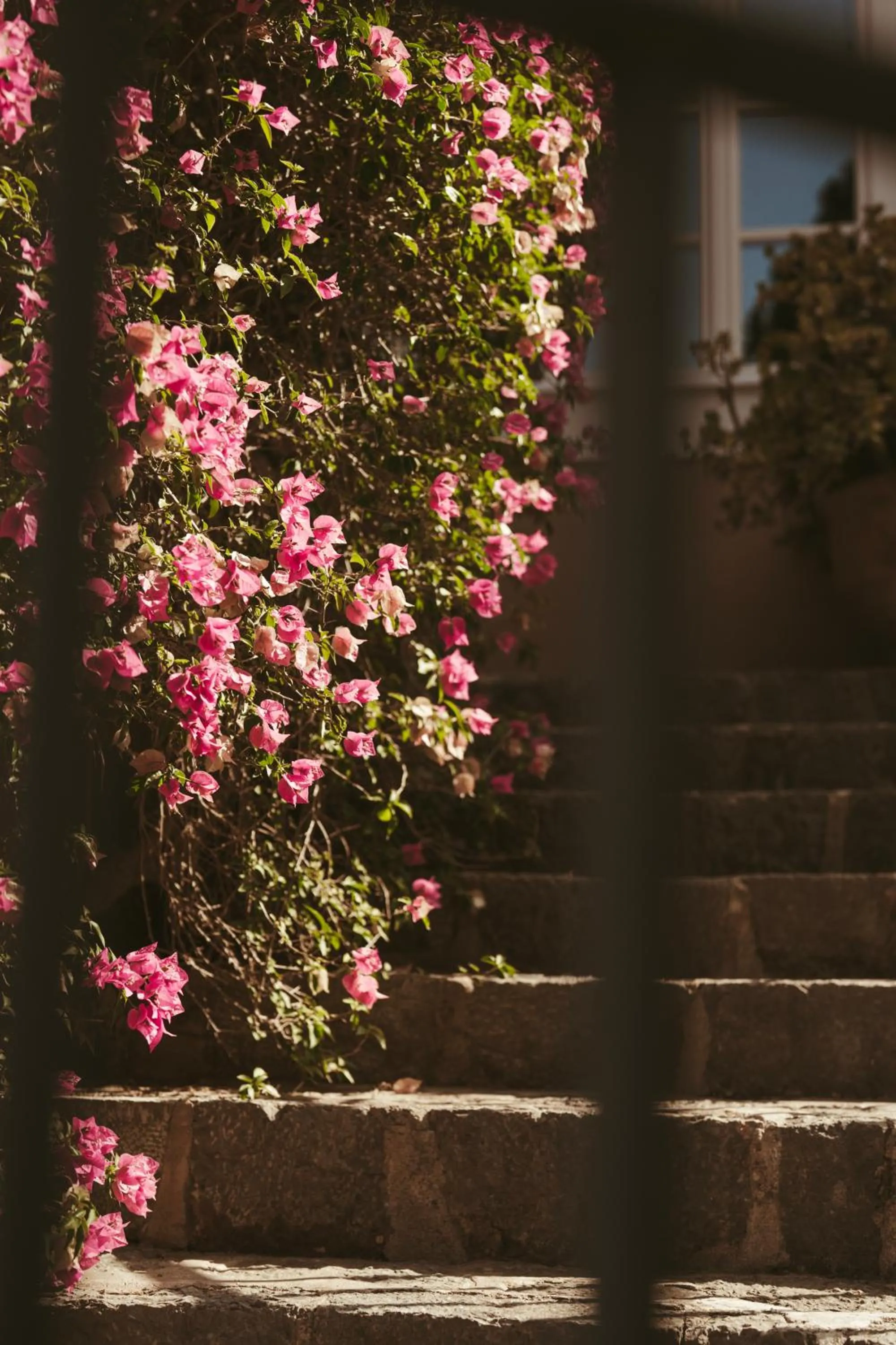 Rondaia, a Winery & Fincahotel-Agroturismo in Tramuntana