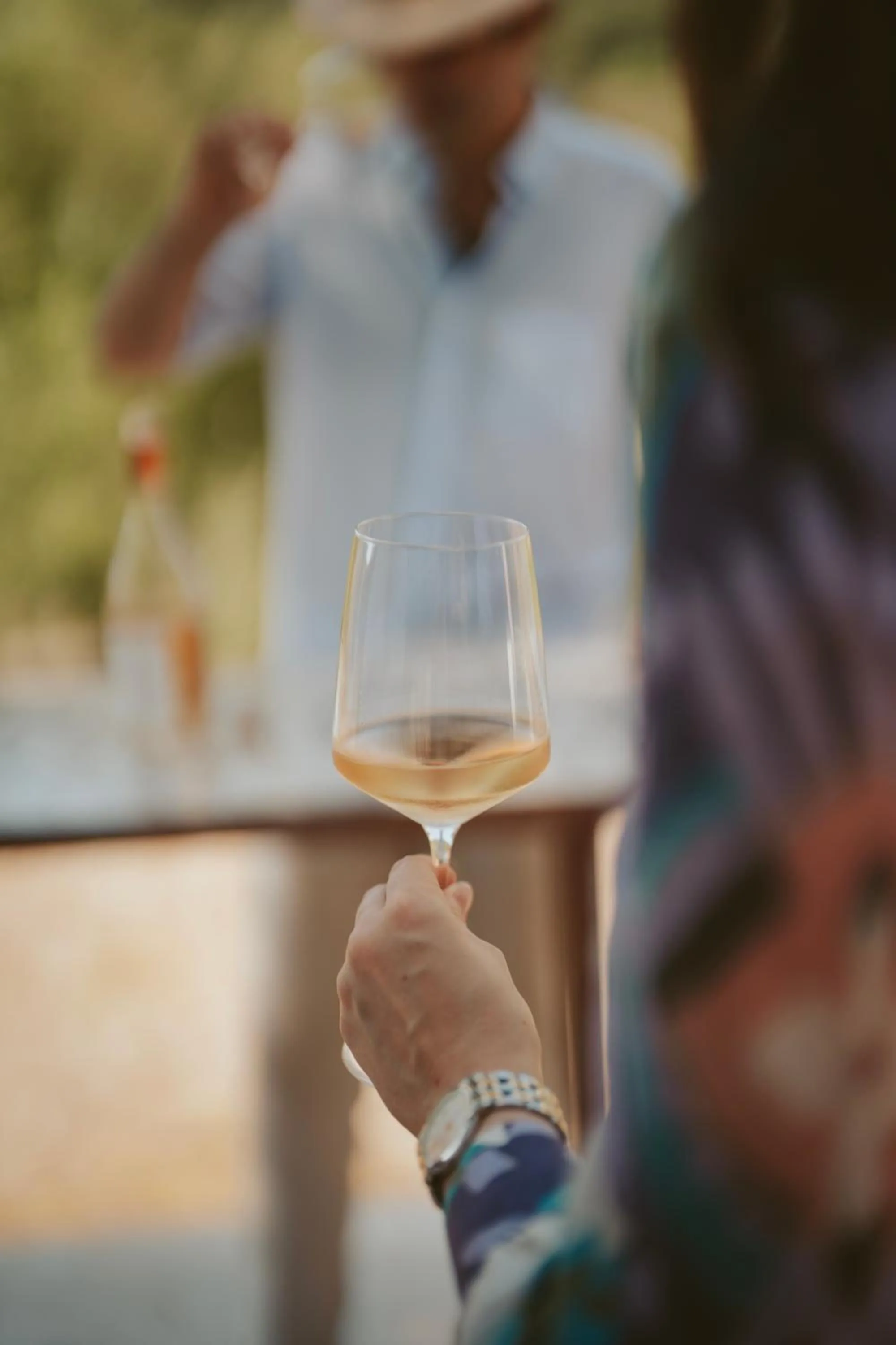 Rondaia, a Winery & Fincahotel-Agroturismo in Tramuntana