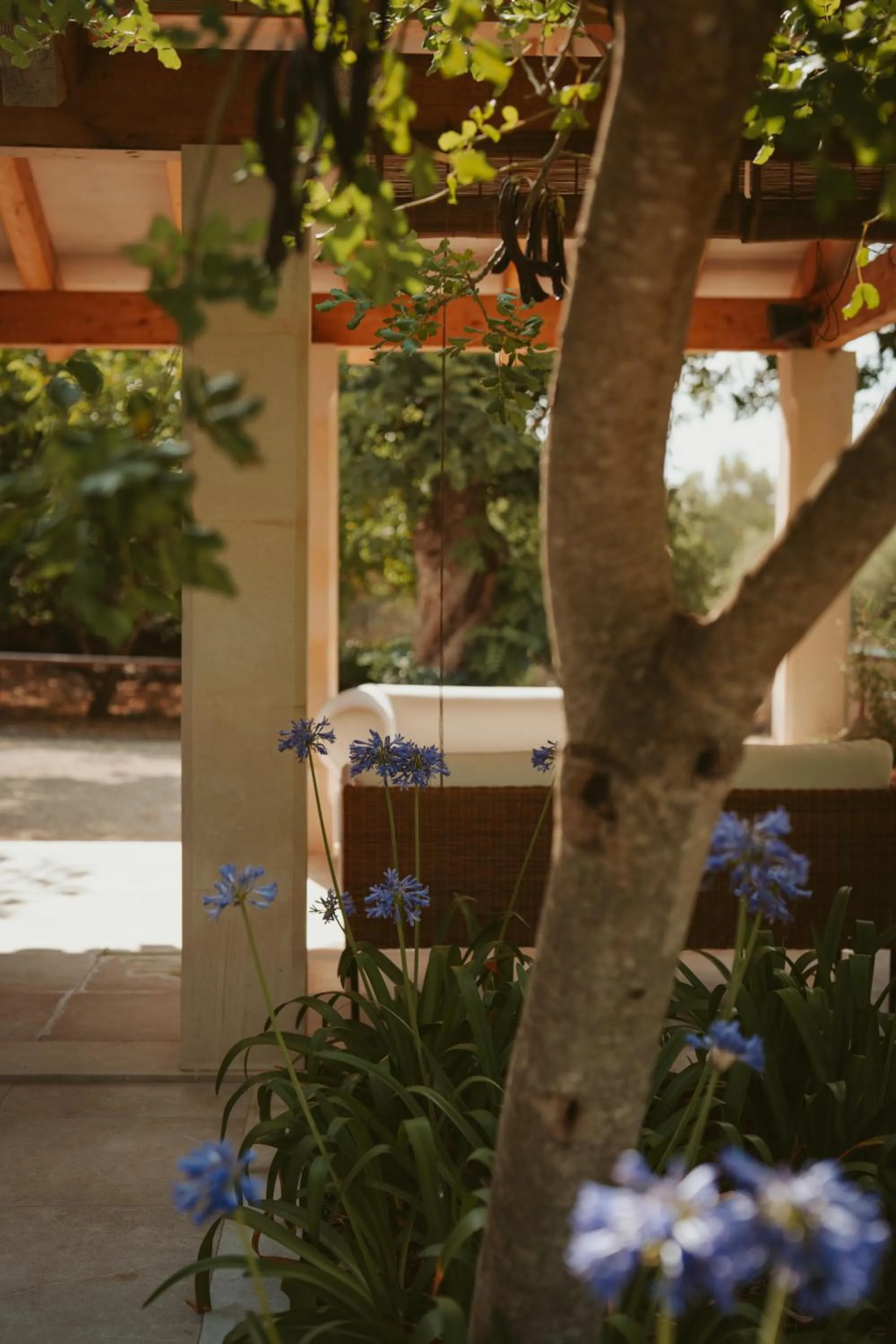 Rondaia, a Winery & Fincahotel-Agroturismo in Tramuntana