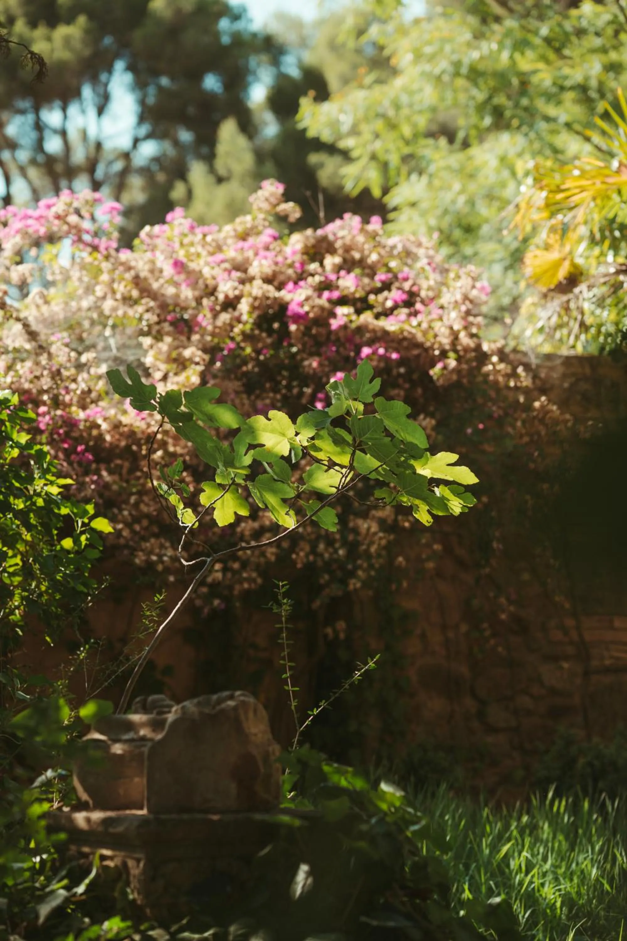 Rondaia, a Winery & Fincahotel-Agroturismo in Tramuntana