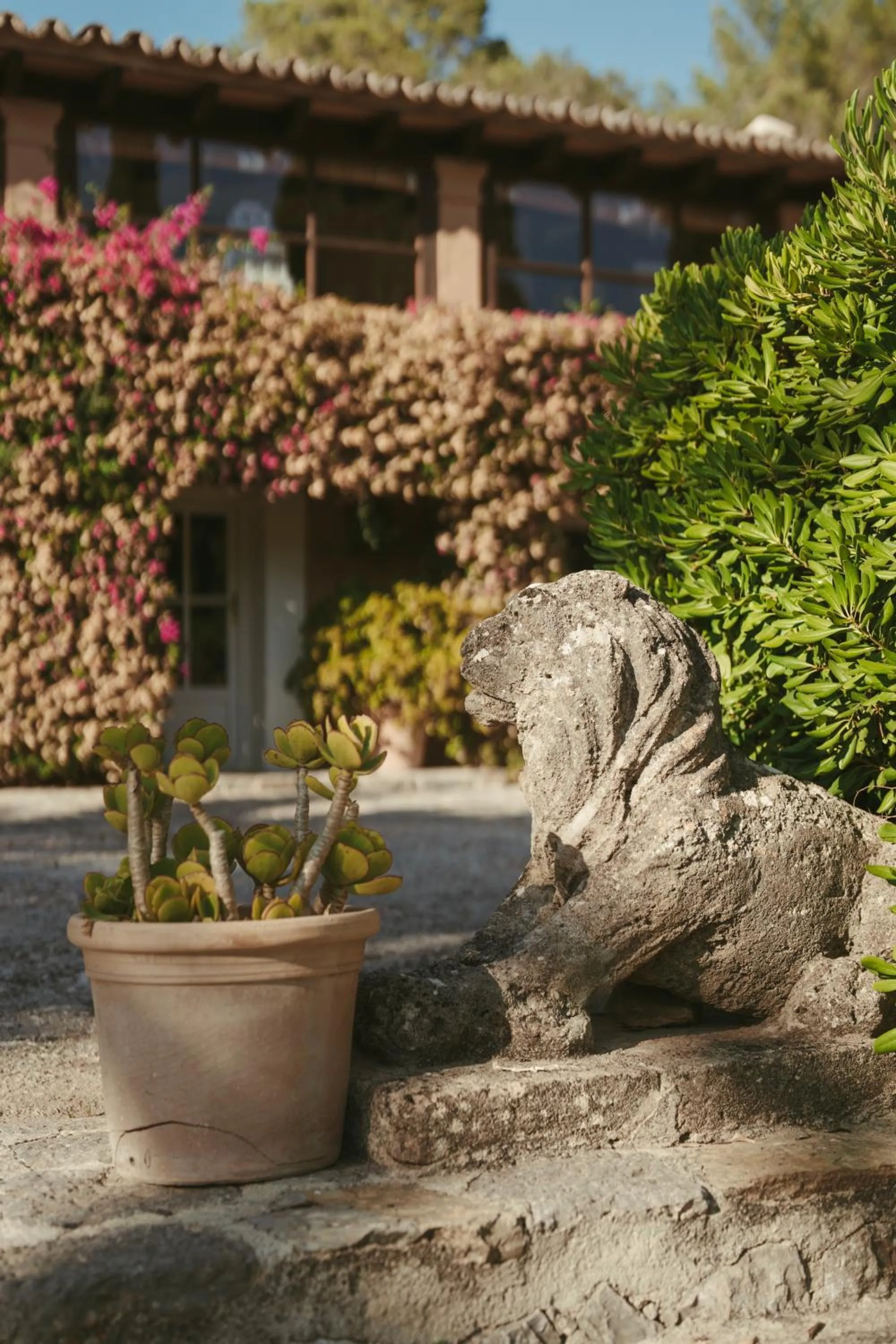 Rondaia, a Winery & Fincahotel-Agroturismo in Tramuntana