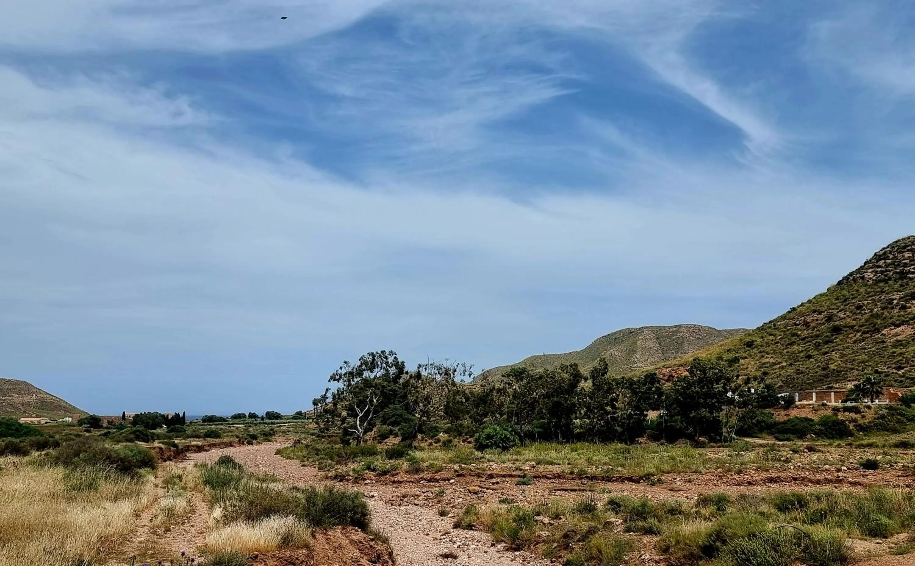 Property building in Casa Biank