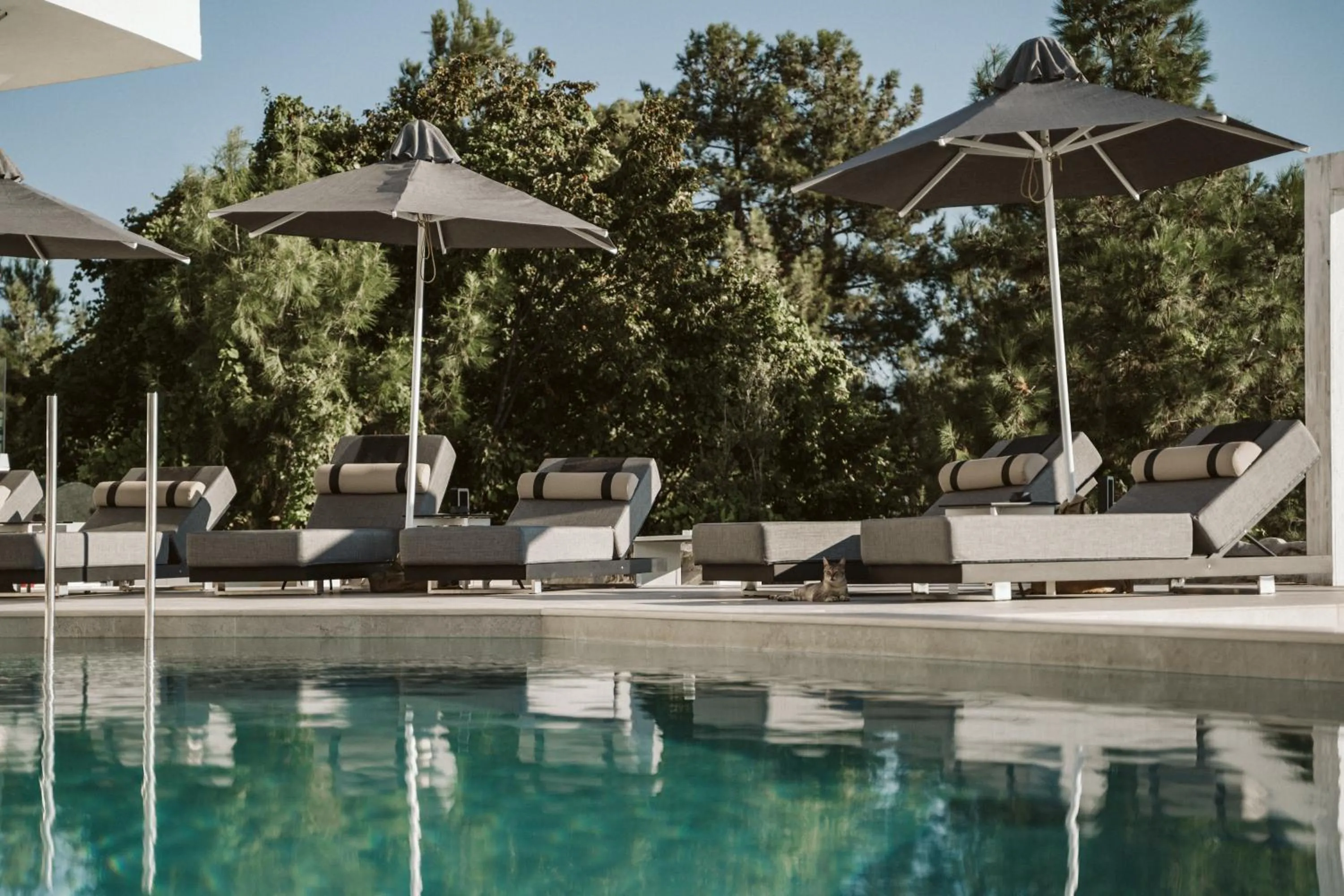 Natural landscape in Akrotiri Olympus Luxury Suites - Adults Only